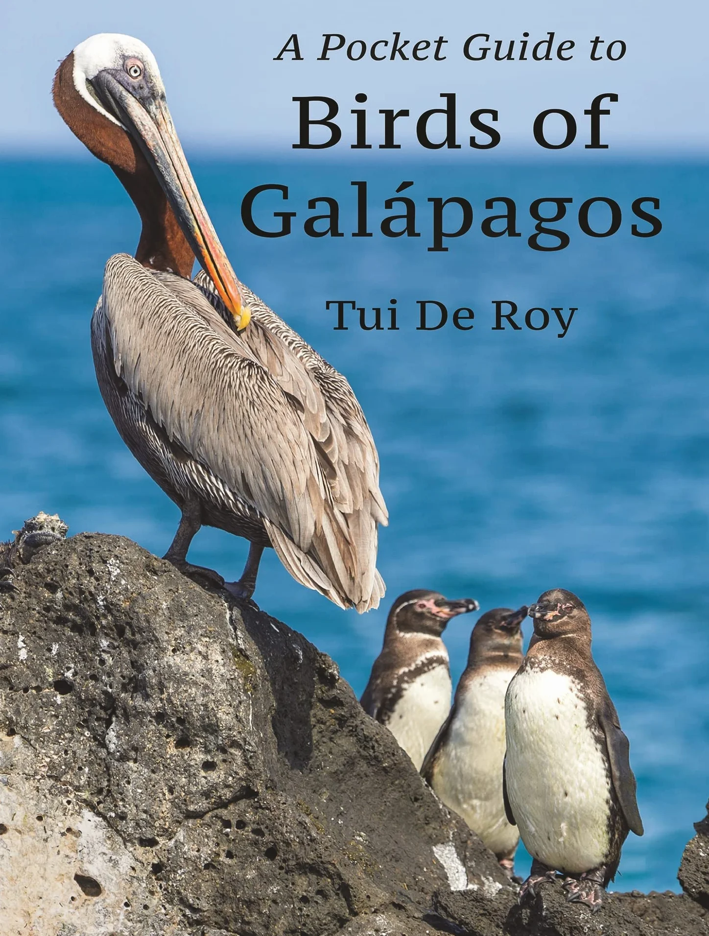 A Pocket Guide to Birds of Galápagos