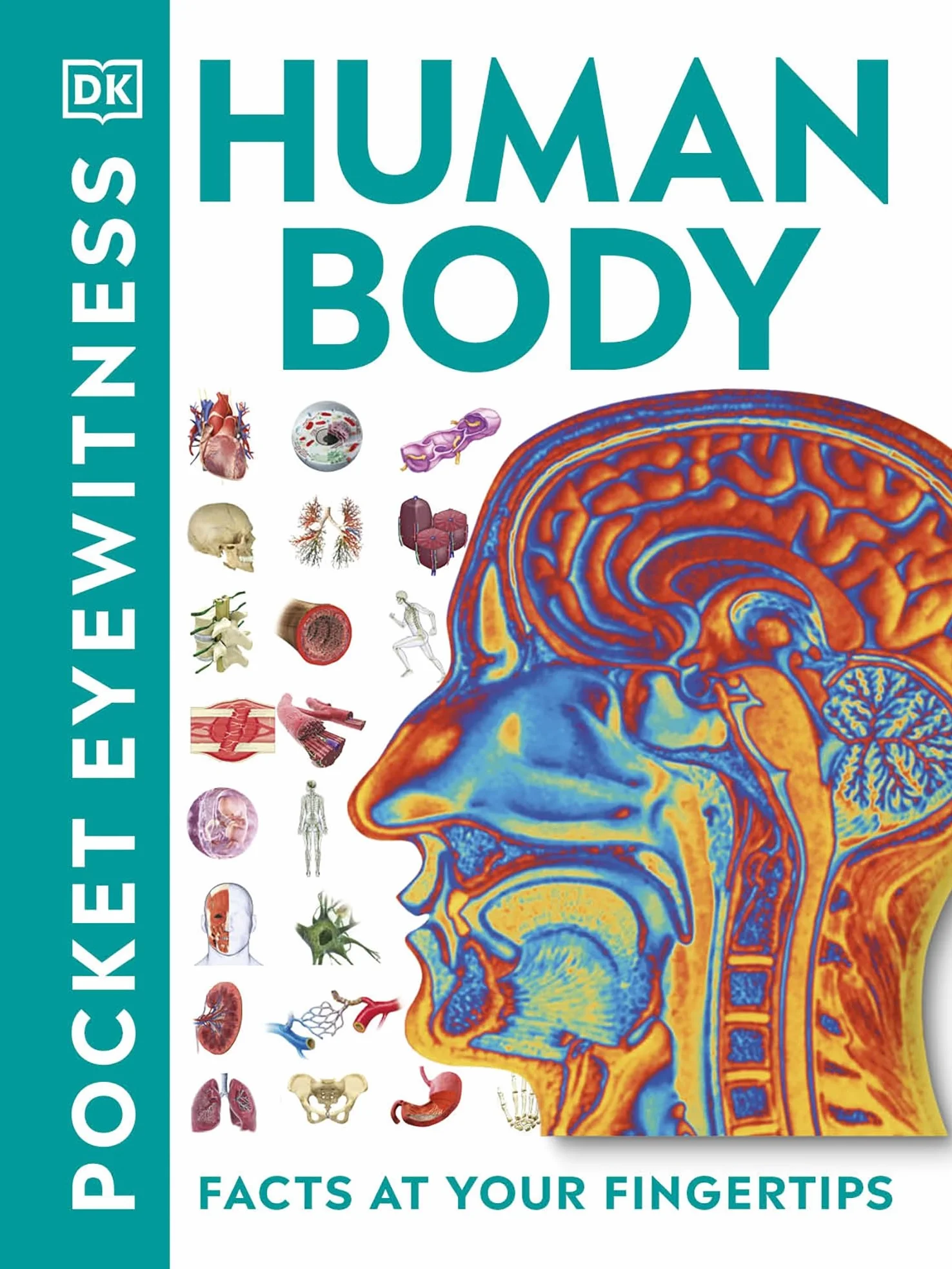Pocket Eyewitness Human Body: Facts at Your Fingertips