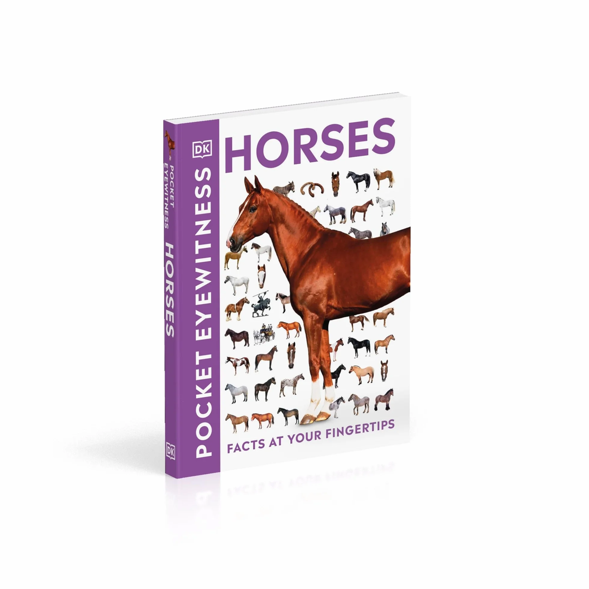 Pocket Eyewitness Horses: Facts at Your Fingertips