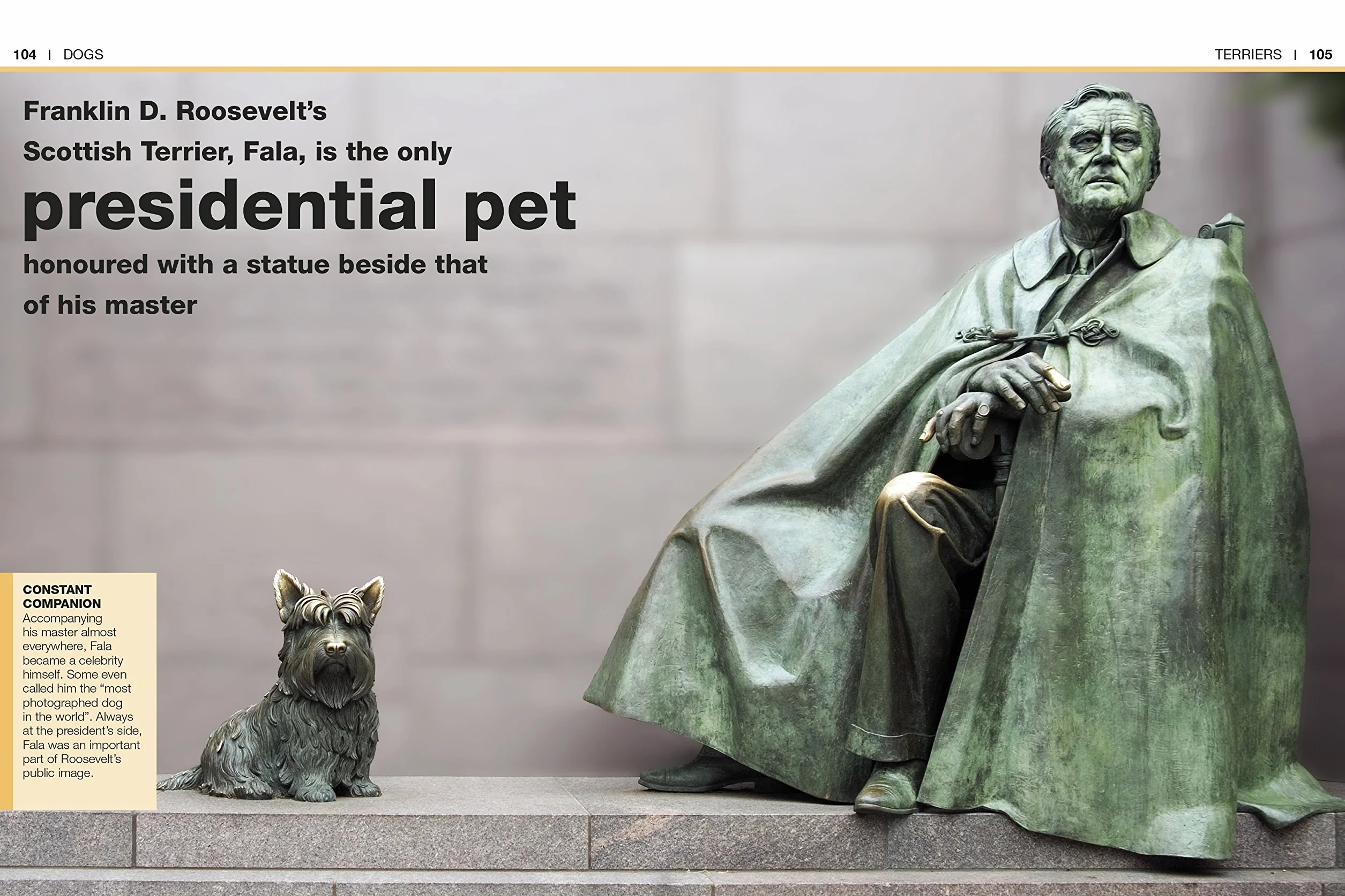 Pocket Eyewitness Dogs: Facts at Your Fingertips