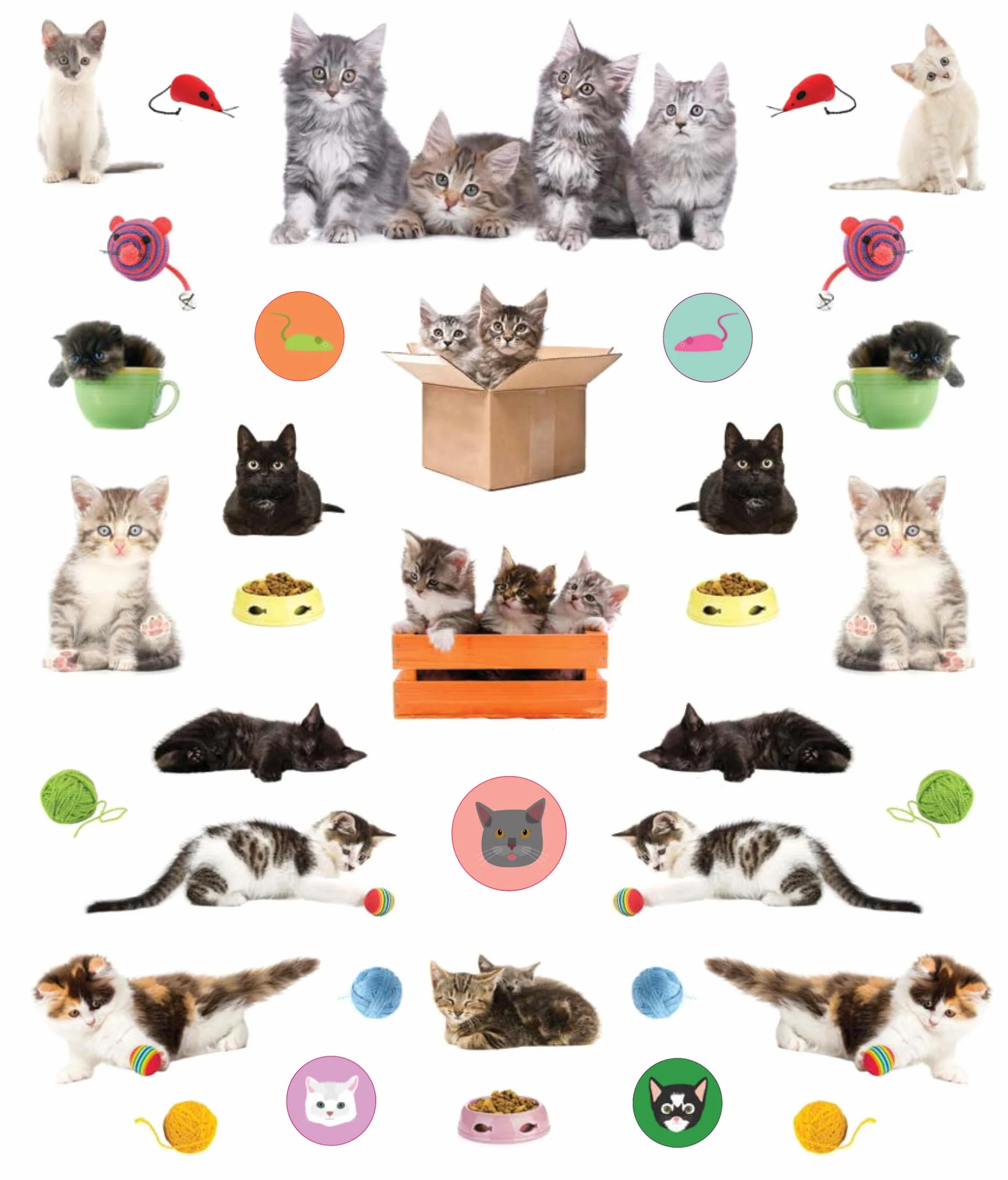 Eyelike Stickers: Kittens: 400 Reusable Stickers: 400 reusable stickers, inspired by nature
