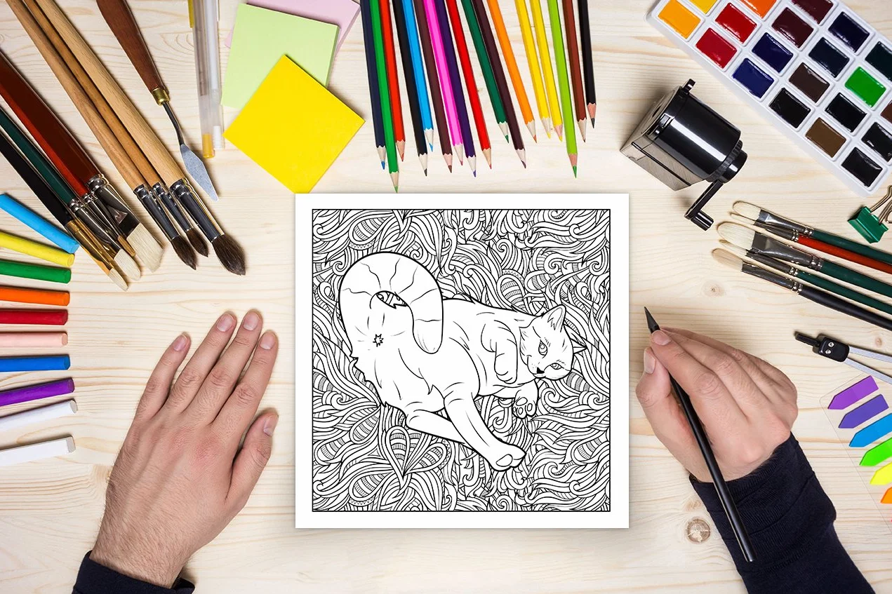 Cat Butt: An Off-Color Adult Coloring Book for Cat Lovers
