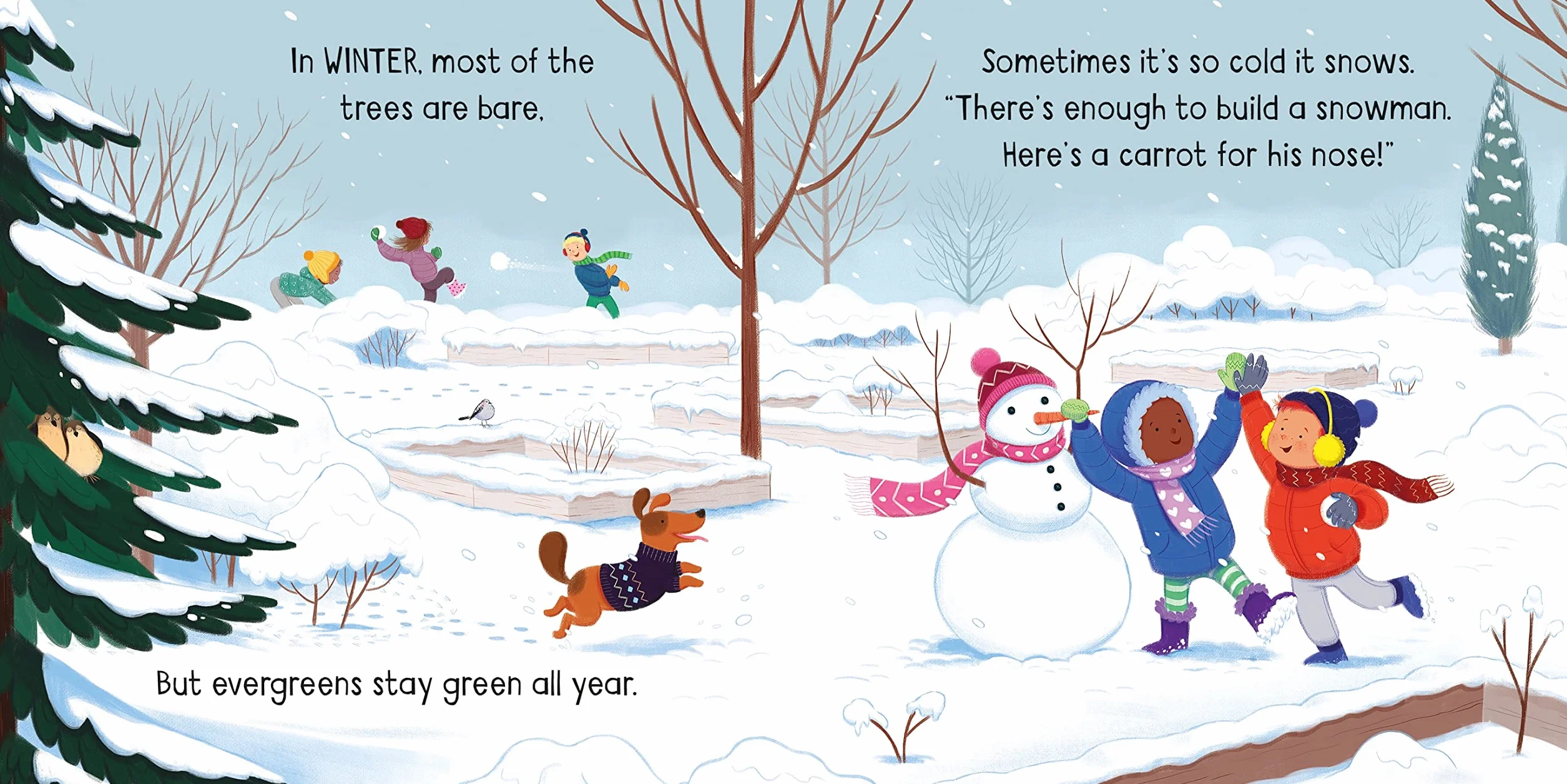 Little Board Books The Seasons