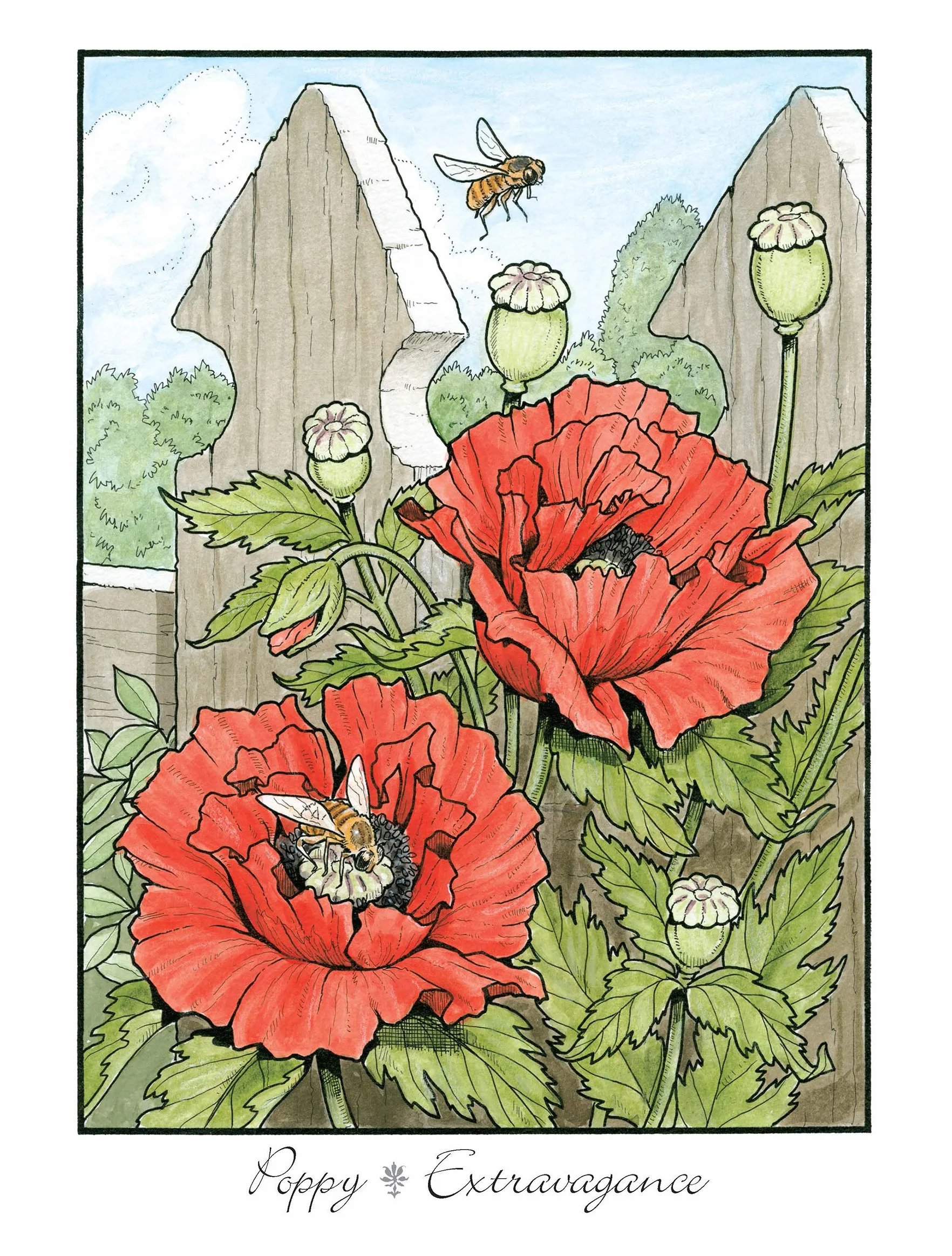 Creative Haven the Beautiful Language of Flowers Coloring Book