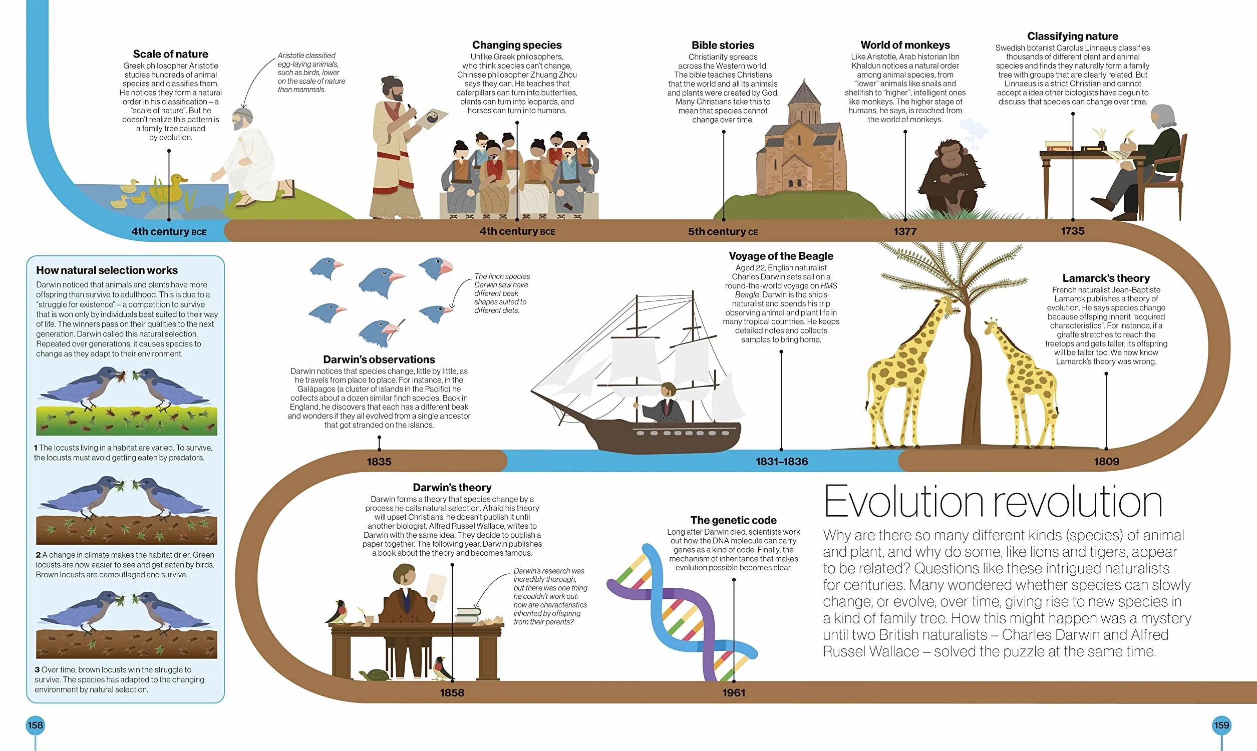 Timelines of Science: From Fossils to Quantum Physics