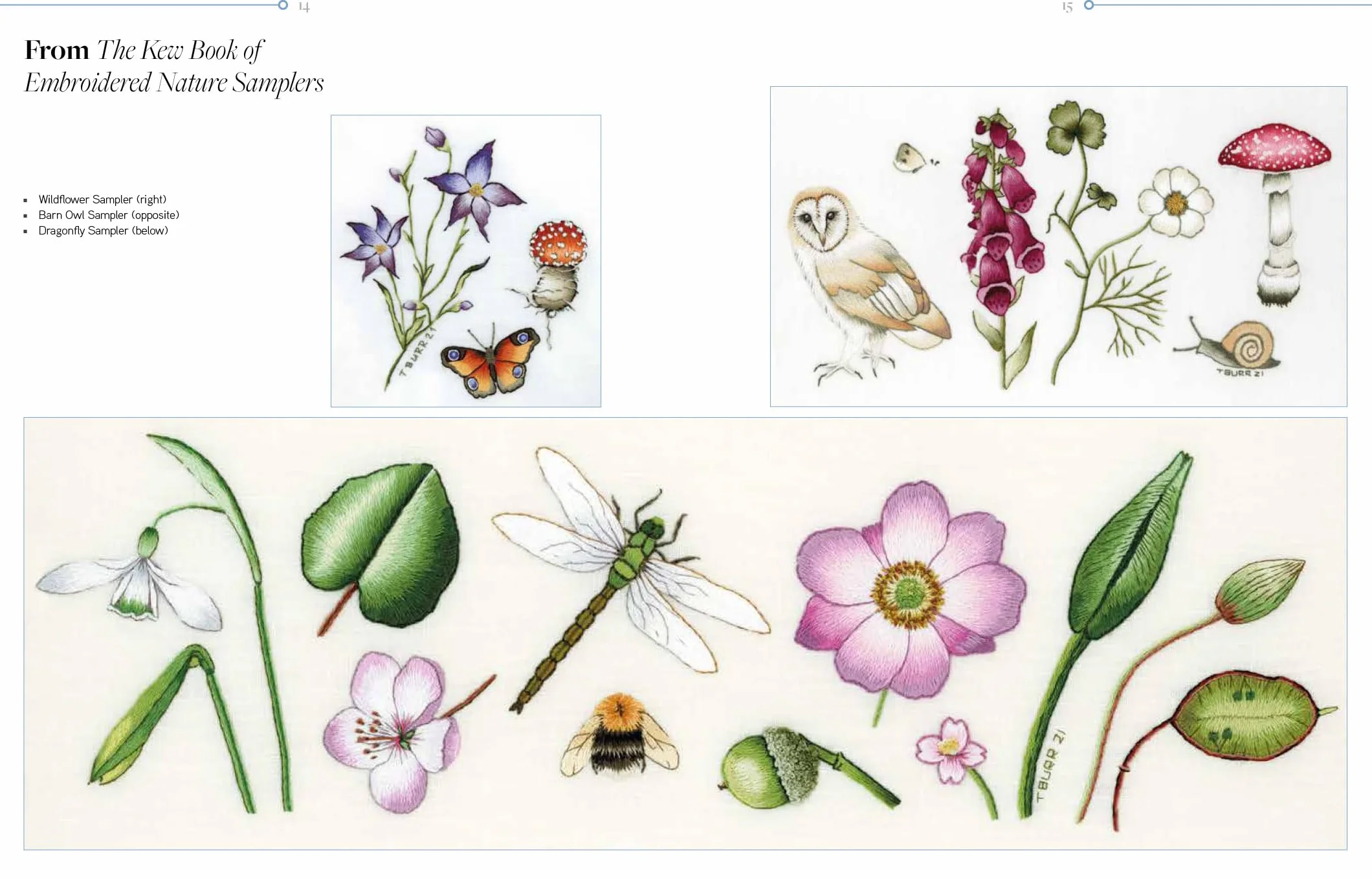 Trish Burr's Nature Embroidery Transfers: 75 Iron-On Designs