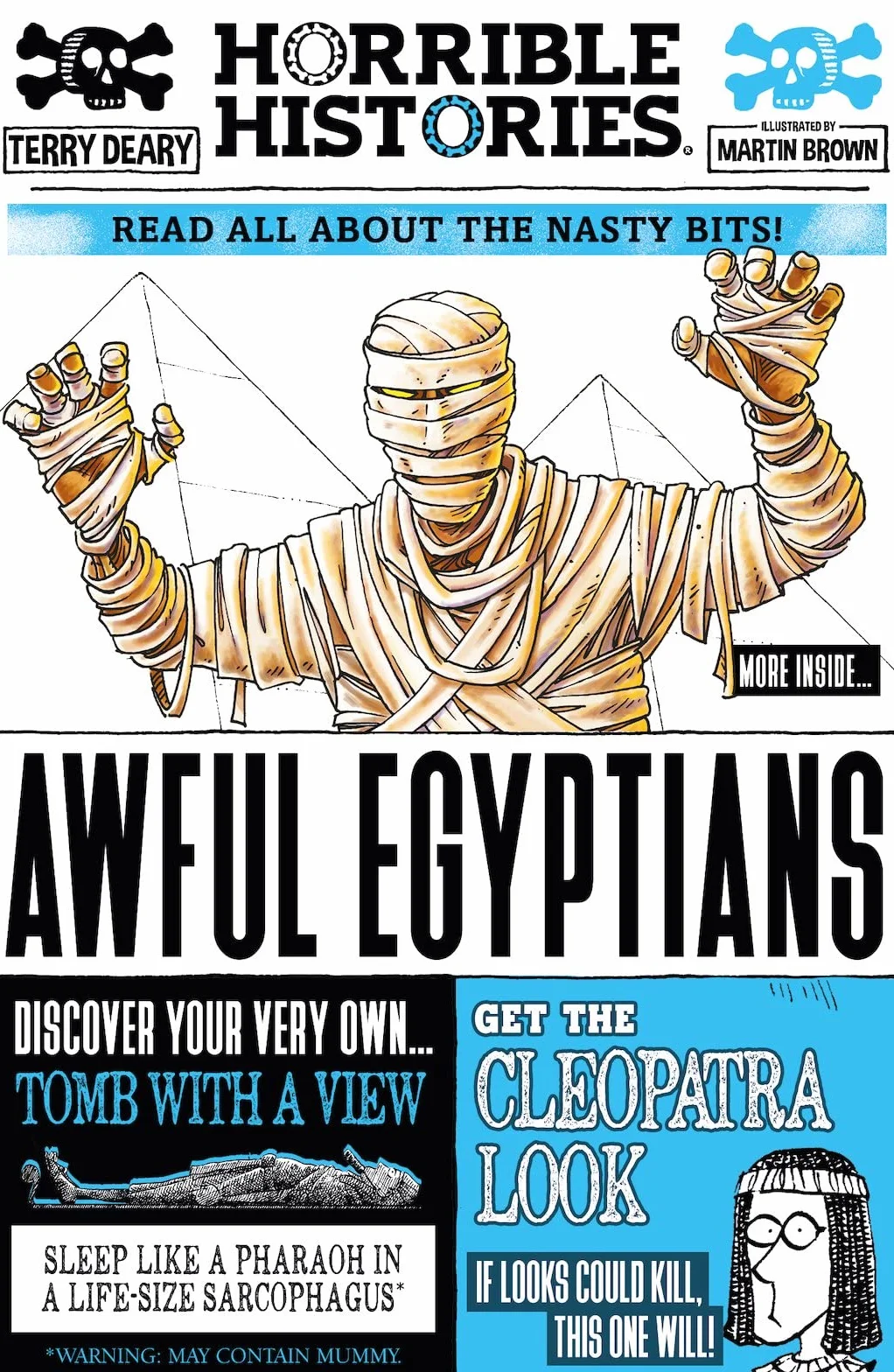 Awful Egyptians: 1 (Horrible Histories)