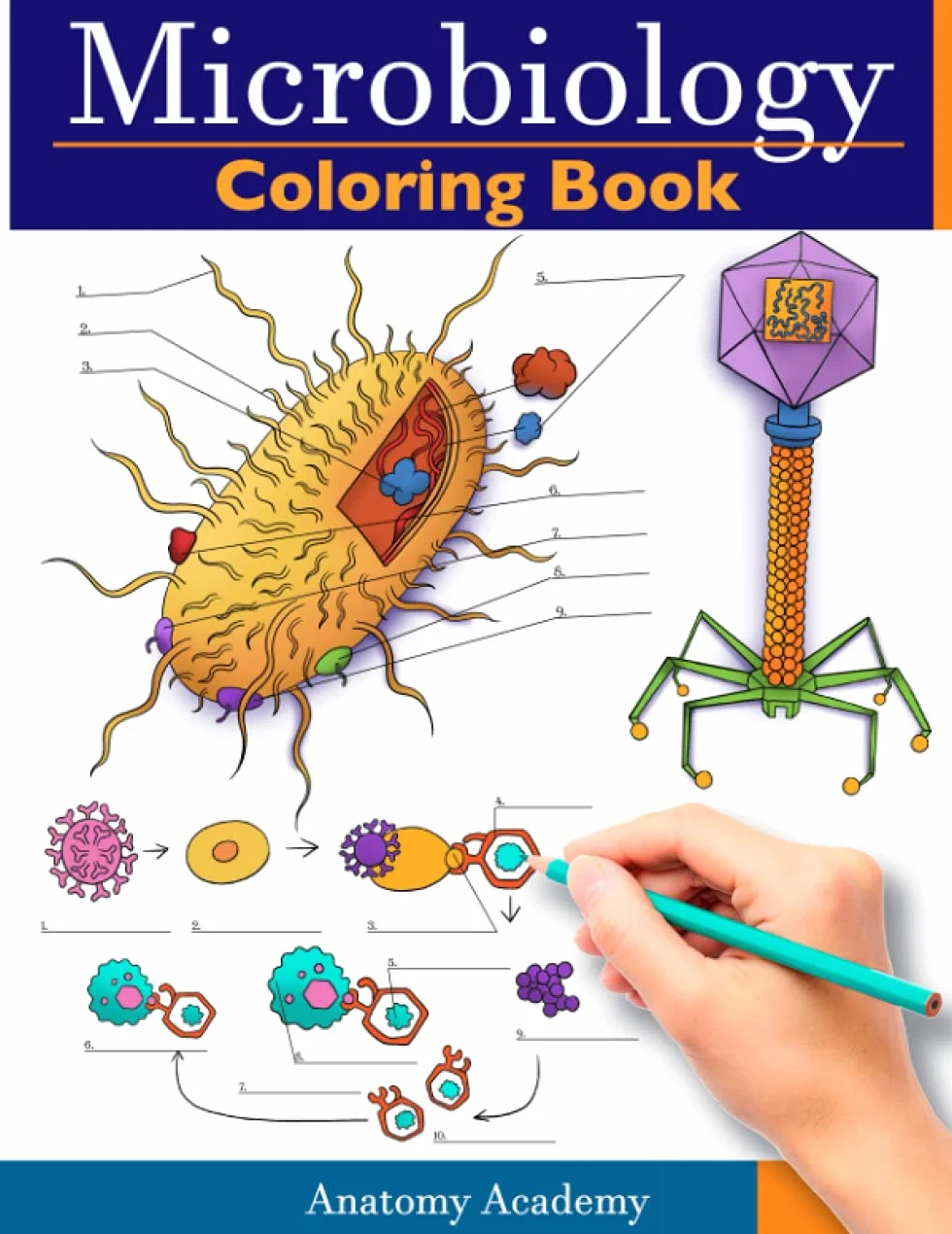Microbiology Coloring Book: Incredibly Detailed Self-Test Color workbook for Studying | Perfect Gift for Medical School Students, Physicians & Chiropractors