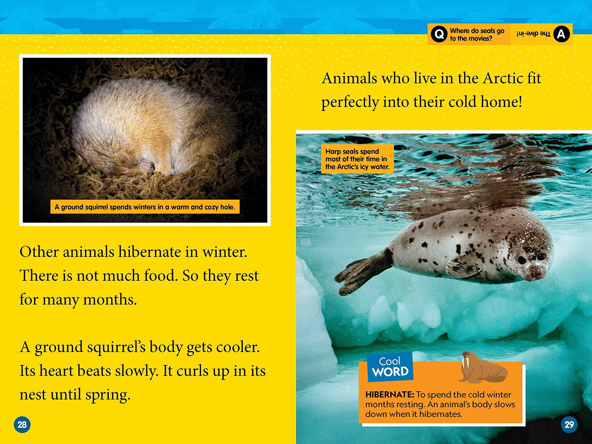 Arctic Animals: Level 2