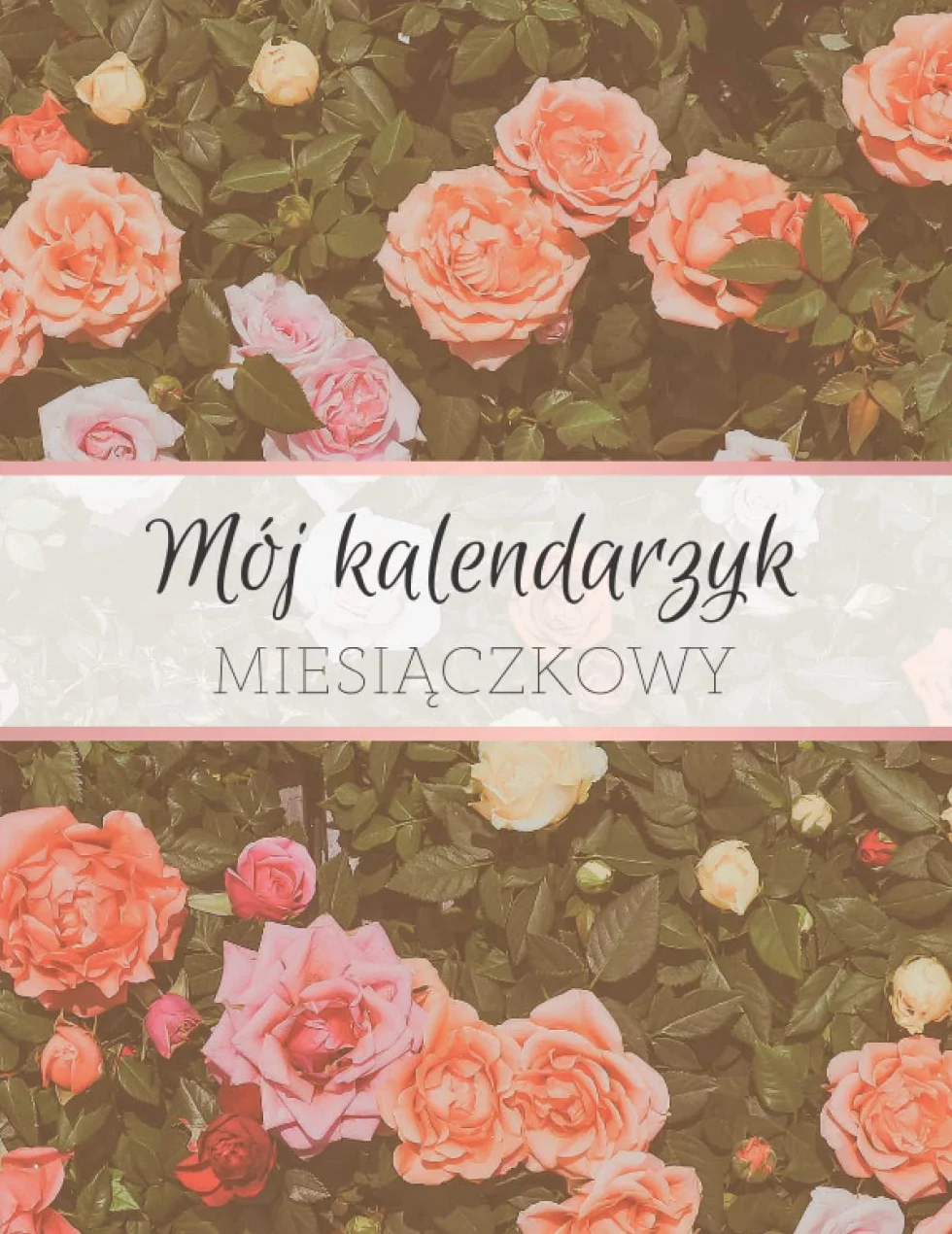 Mój kalendarzyk miesiączkowy: Dziennik menstruacji do monitorowania cyklu - Niezbędnik okresu dla kobiet i dziewczyn - Miejsce na wpisy na 3 lata
