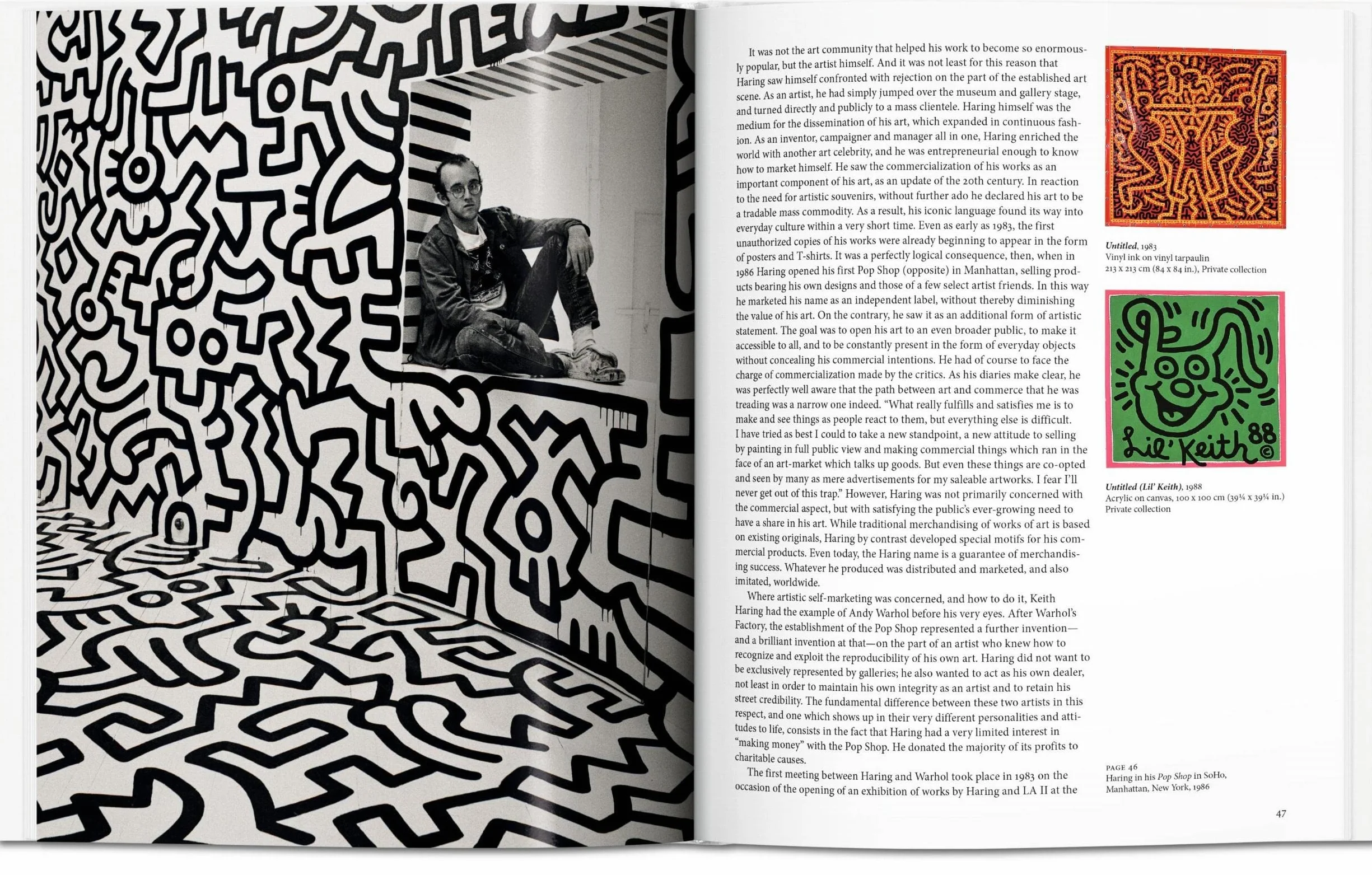 BA-Haring: Une vie pour l'art