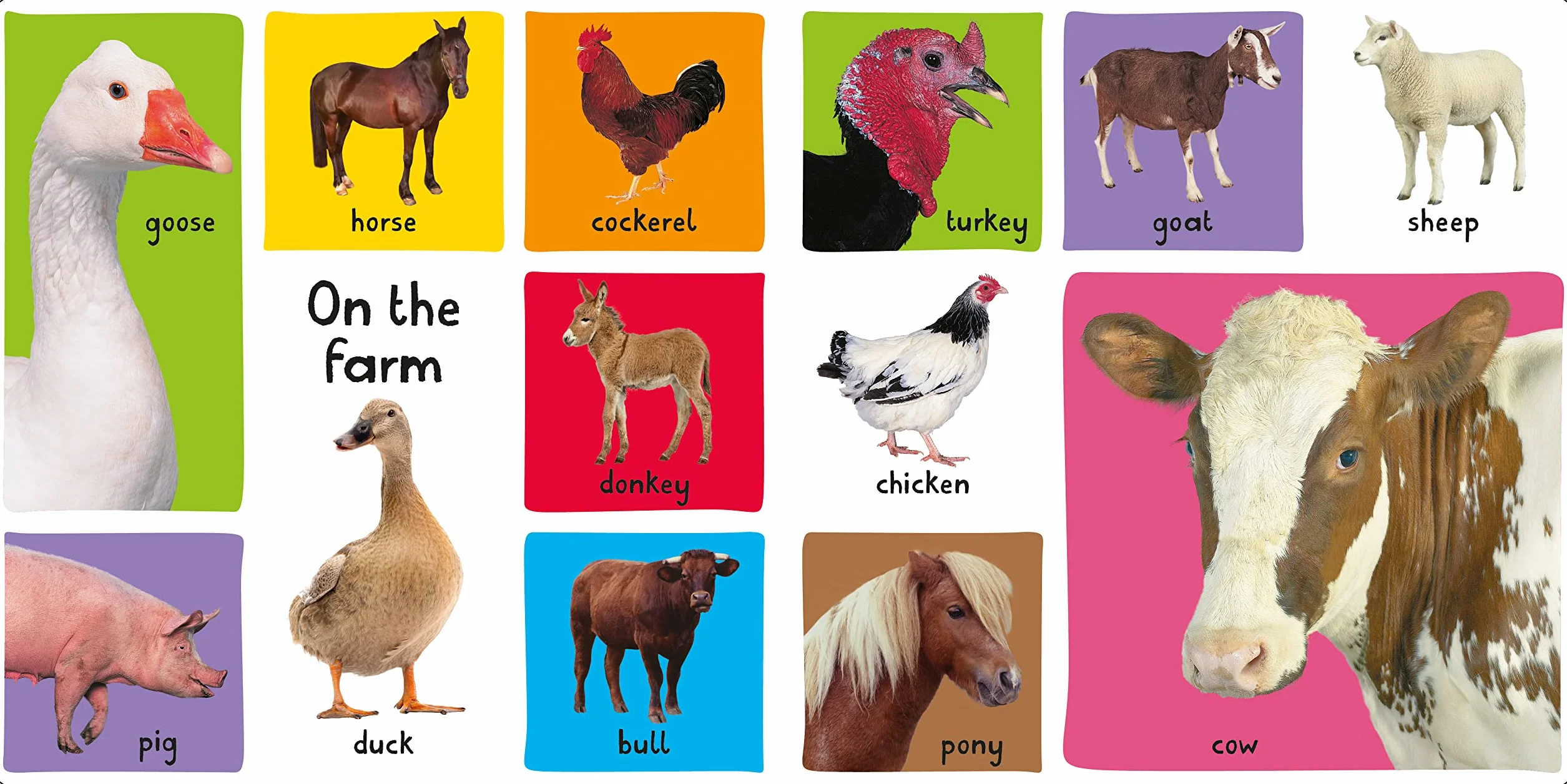 My First 100: Animals
