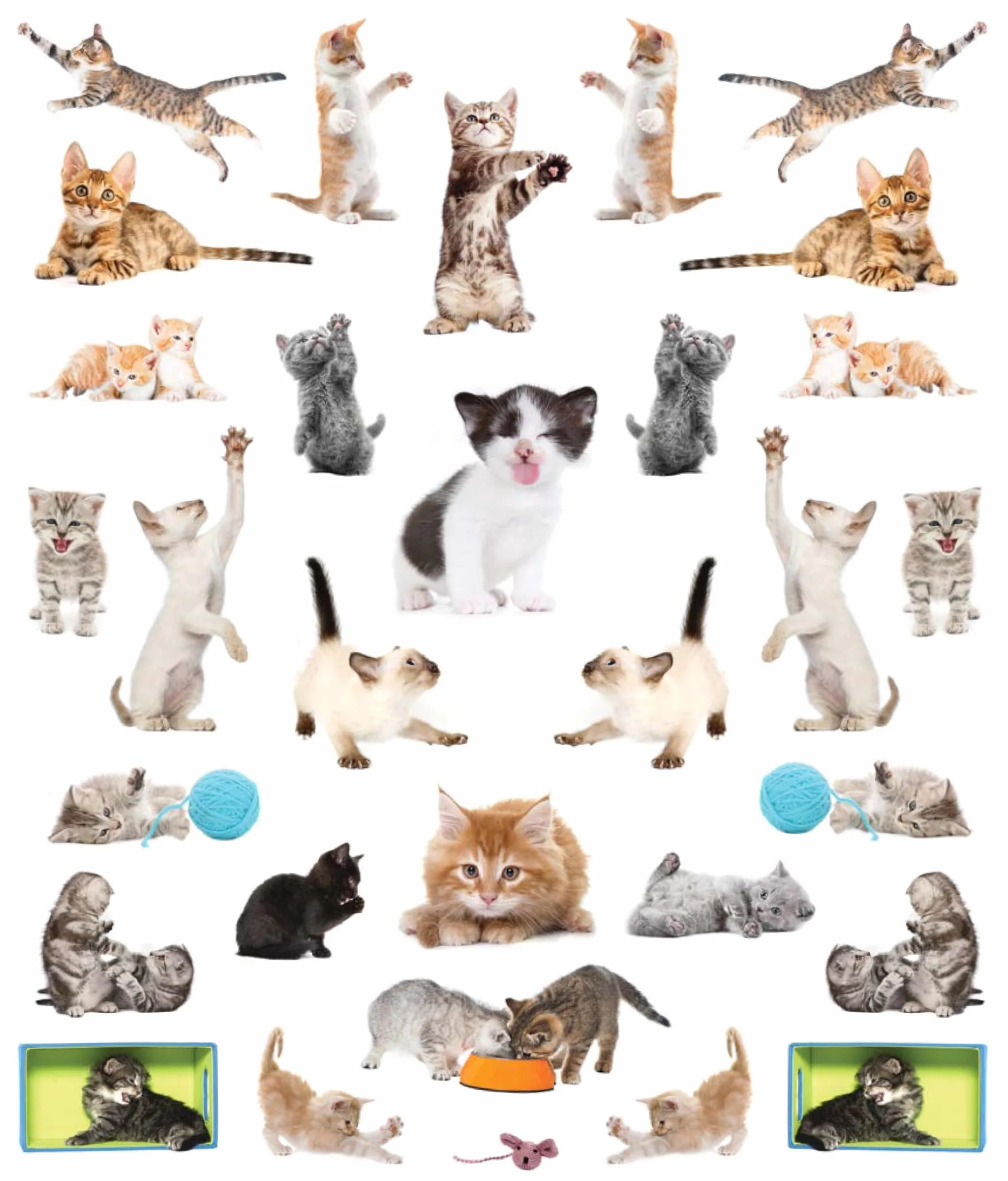 Eyelike Stickers: Kittens: 400 Reusable Stickers: 400 reusable stickers, inspired by nature