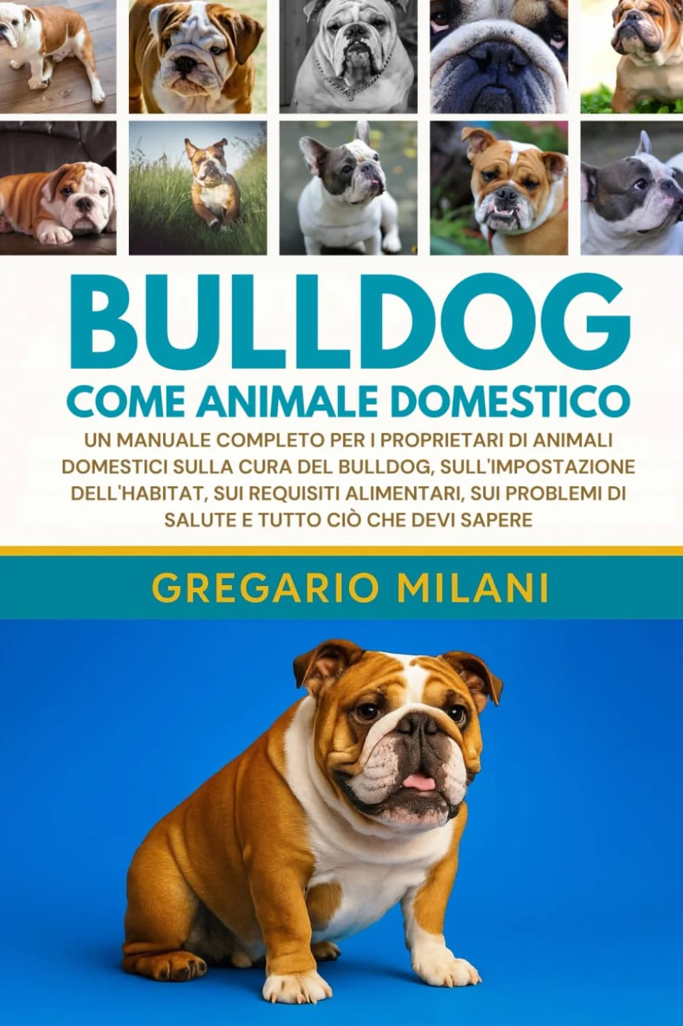 BULLDOG COME ANIMALE DOMESTICO: UN MANUALE COMPLETO PER I PROPRIETARI DI ANIMALI DOMESTICI SULLA CURA DEL BULLDOG, SULL'IMPOSTAZIONE DELL'HABITAT, SUI ... DI SALUTE E TUTTO CIÒ CHE DEVI SAPERE