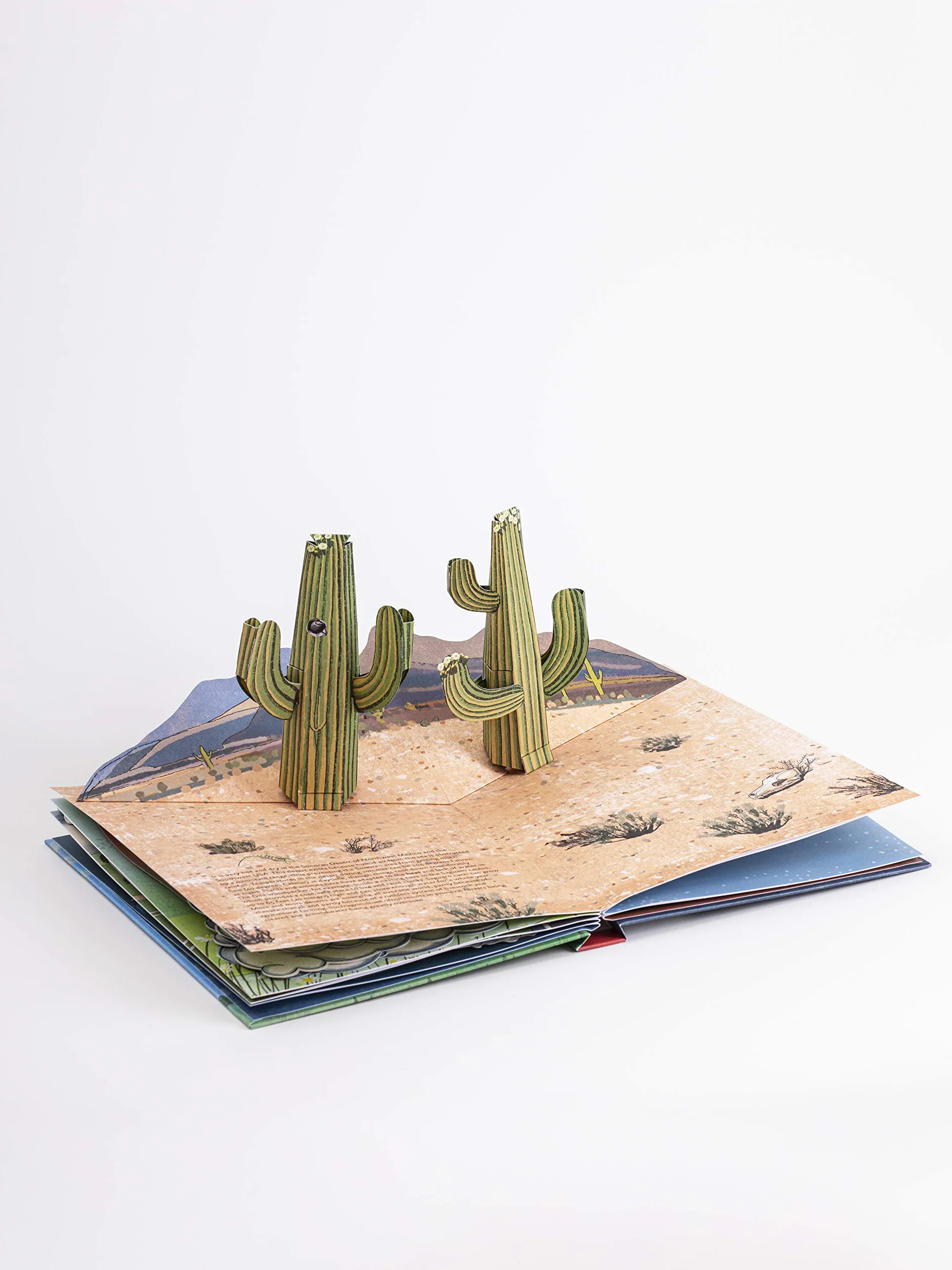 The Weather Pop-Up Book /anglais