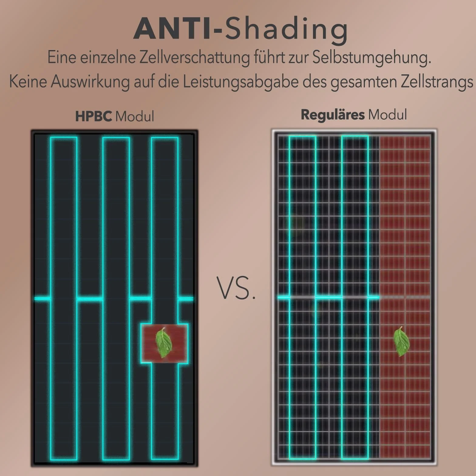 enjoy solar® Panel słoneczny monokrystaliczny z technologią HPBC – 25% wysoka wydajność, ogniwa 182mm, Full Black, idealny do kampera, balkonowej, do domku ogrodowego i na łódź (150W, 12V)