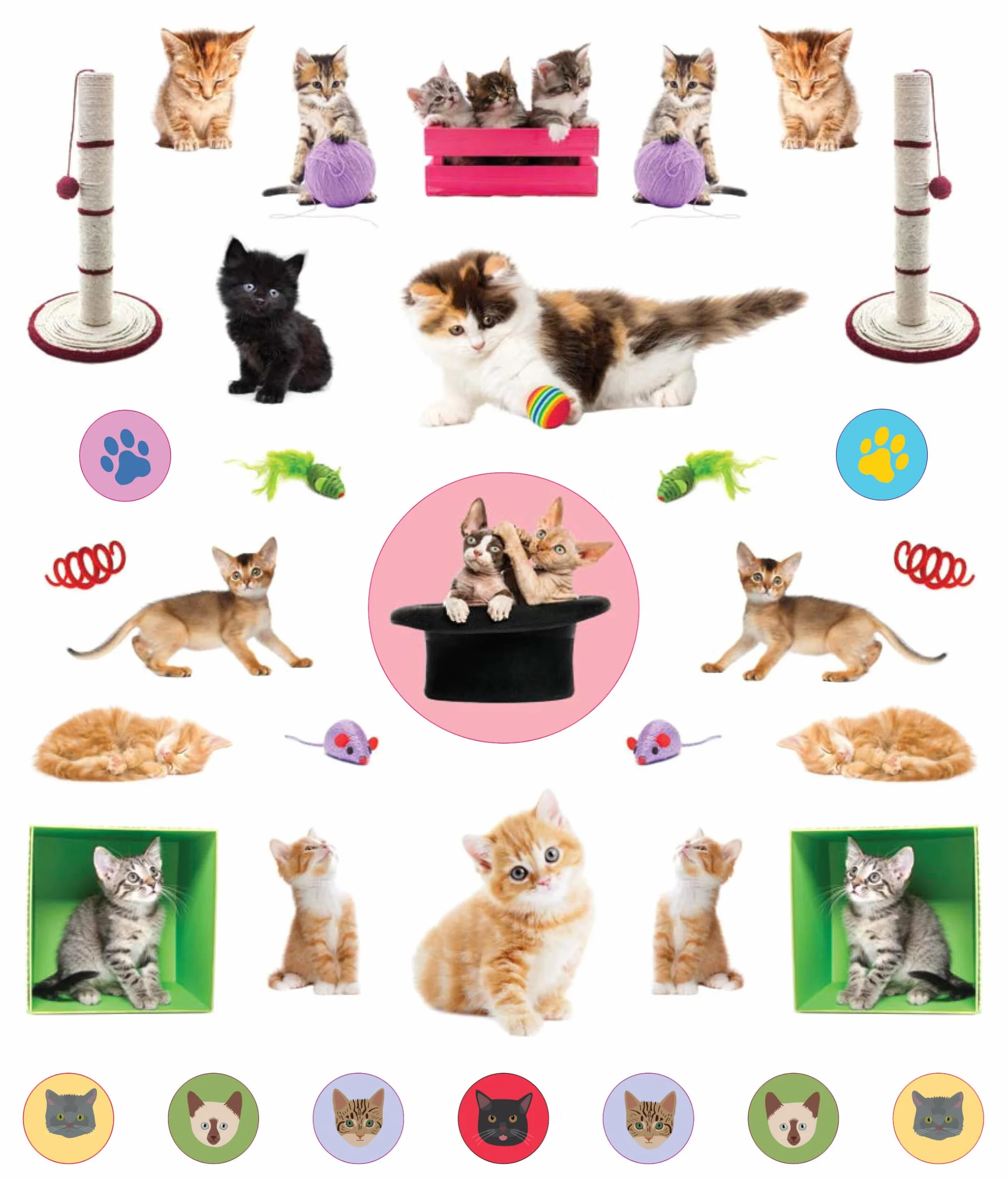 Eyelike Stickers: Kittens: 400 Reusable Stickers: 400 reusable stickers, inspired by nature