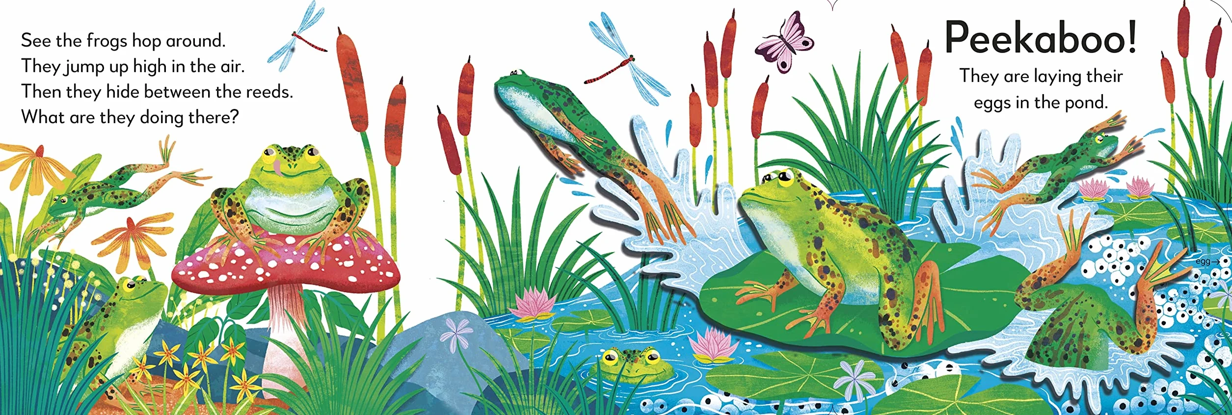Pop-Up Peekaboo! Frog: Pop-Up Surprise Under Every Flap!