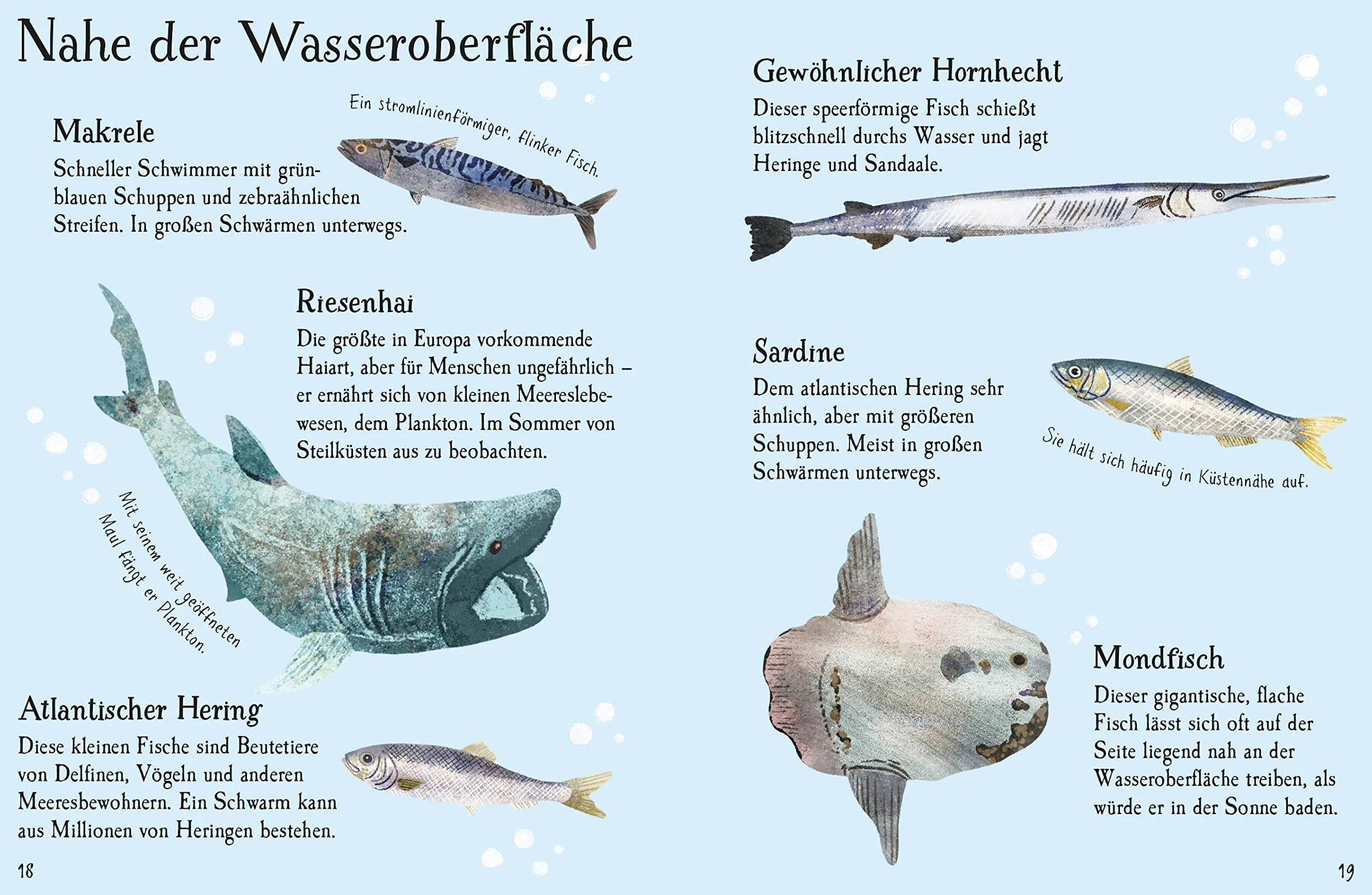 Usborne Minis Naturführer: Fische: mit 60 Stickern