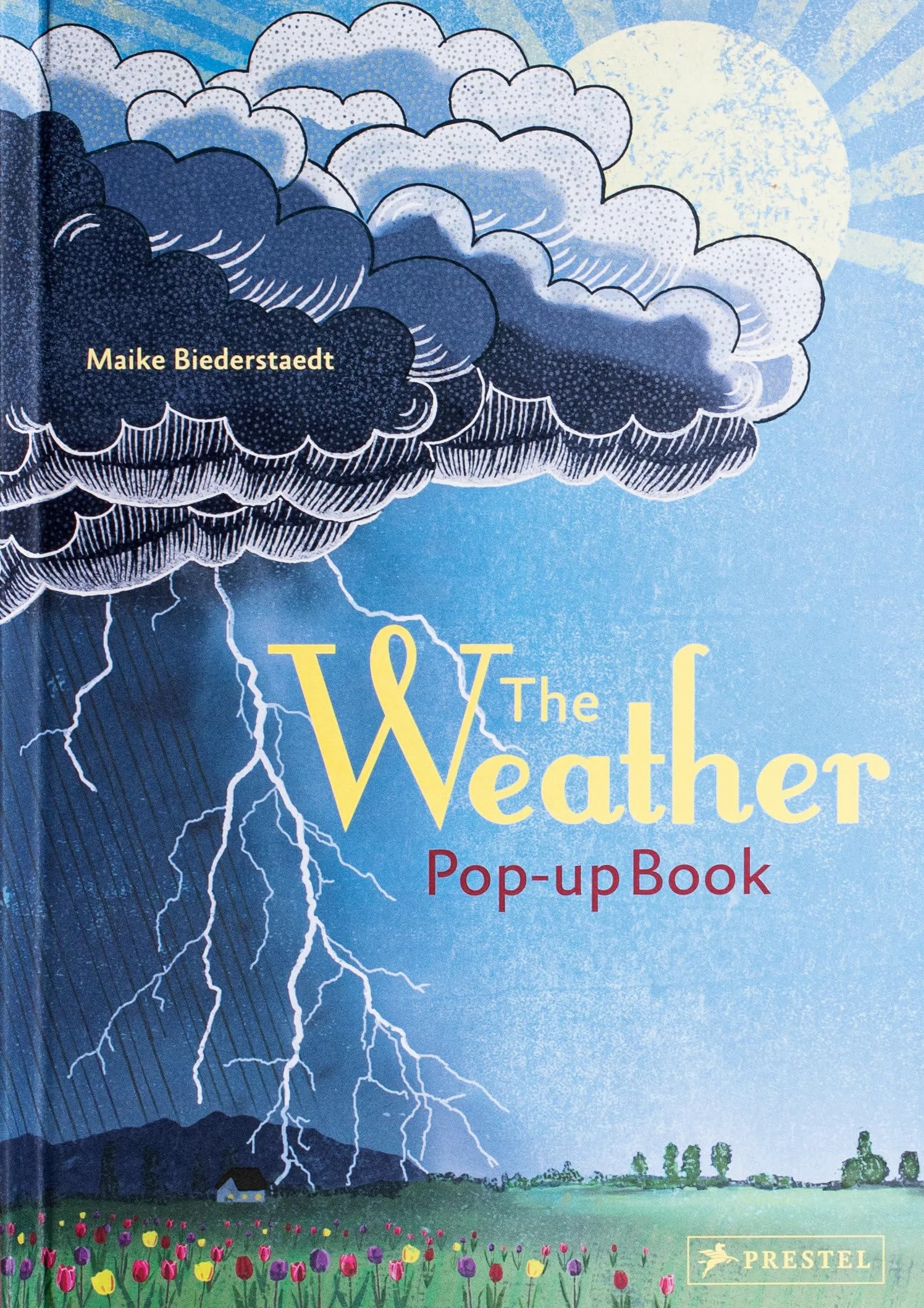 The Weather Pop-Up Book /anglais