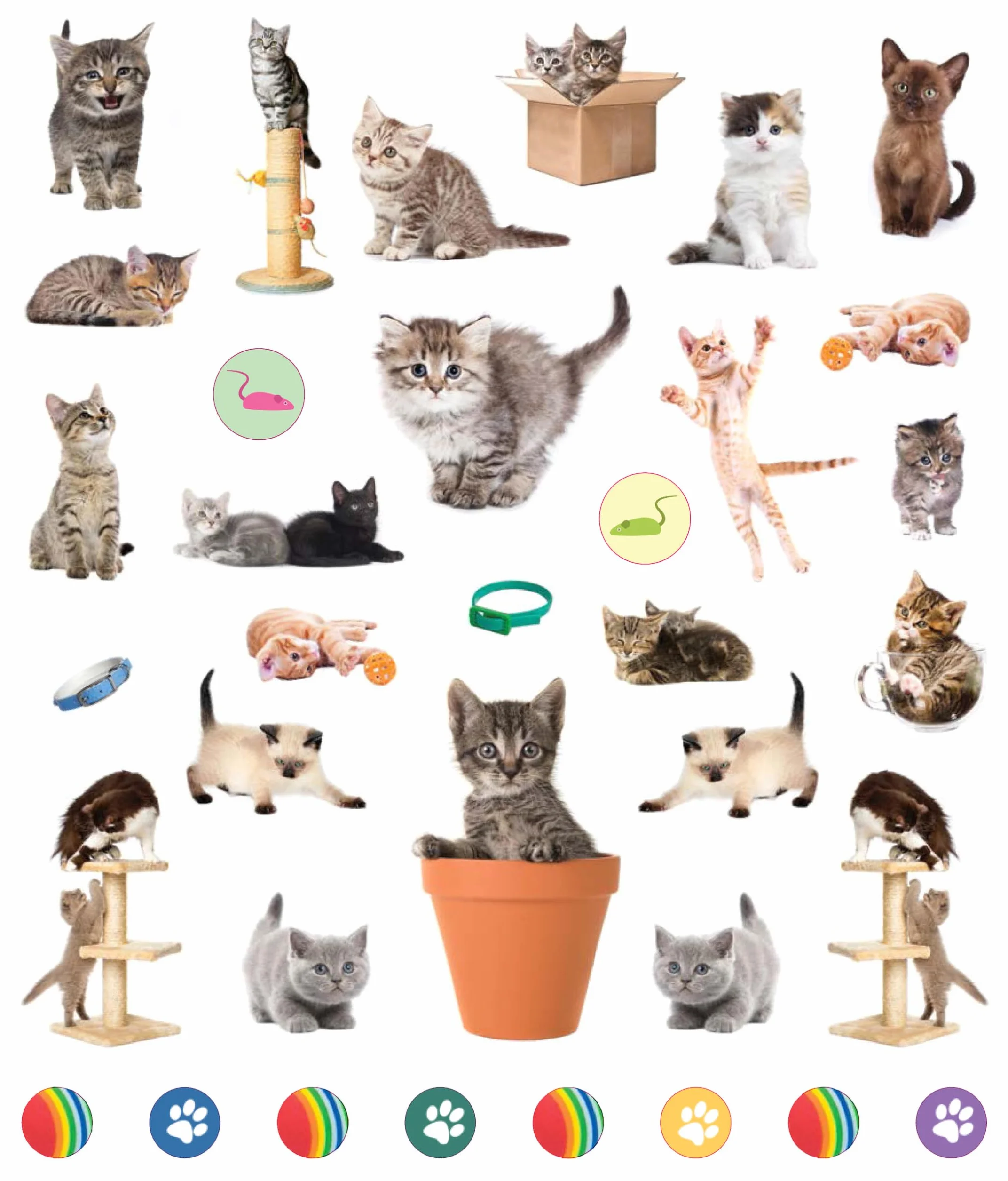 Eyelike Stickers: Kittens: 400 Reusable Stickers: 400 reusable stickers, inspired by nature