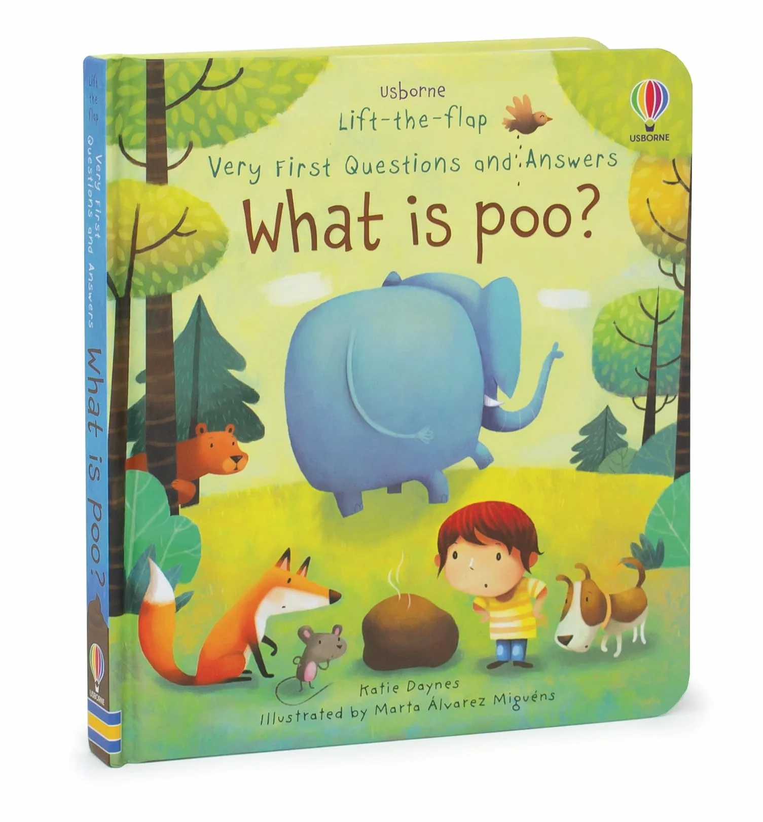 What is Poo? (Very First Lift-the-Flap Questions and Answers) (Very First Lift-the-Flap Questions & Answers): 1 (Very First Questions and Answers)
