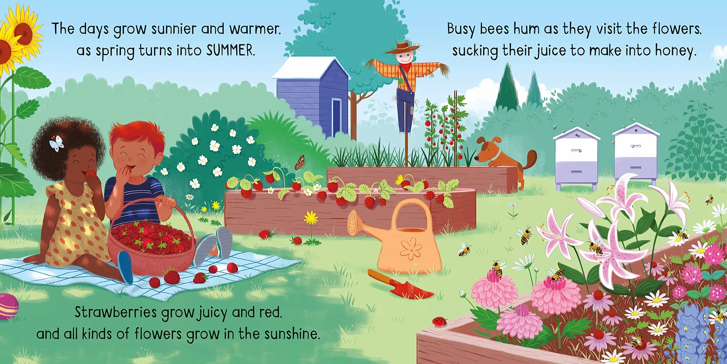 Little Board Books The Seasons