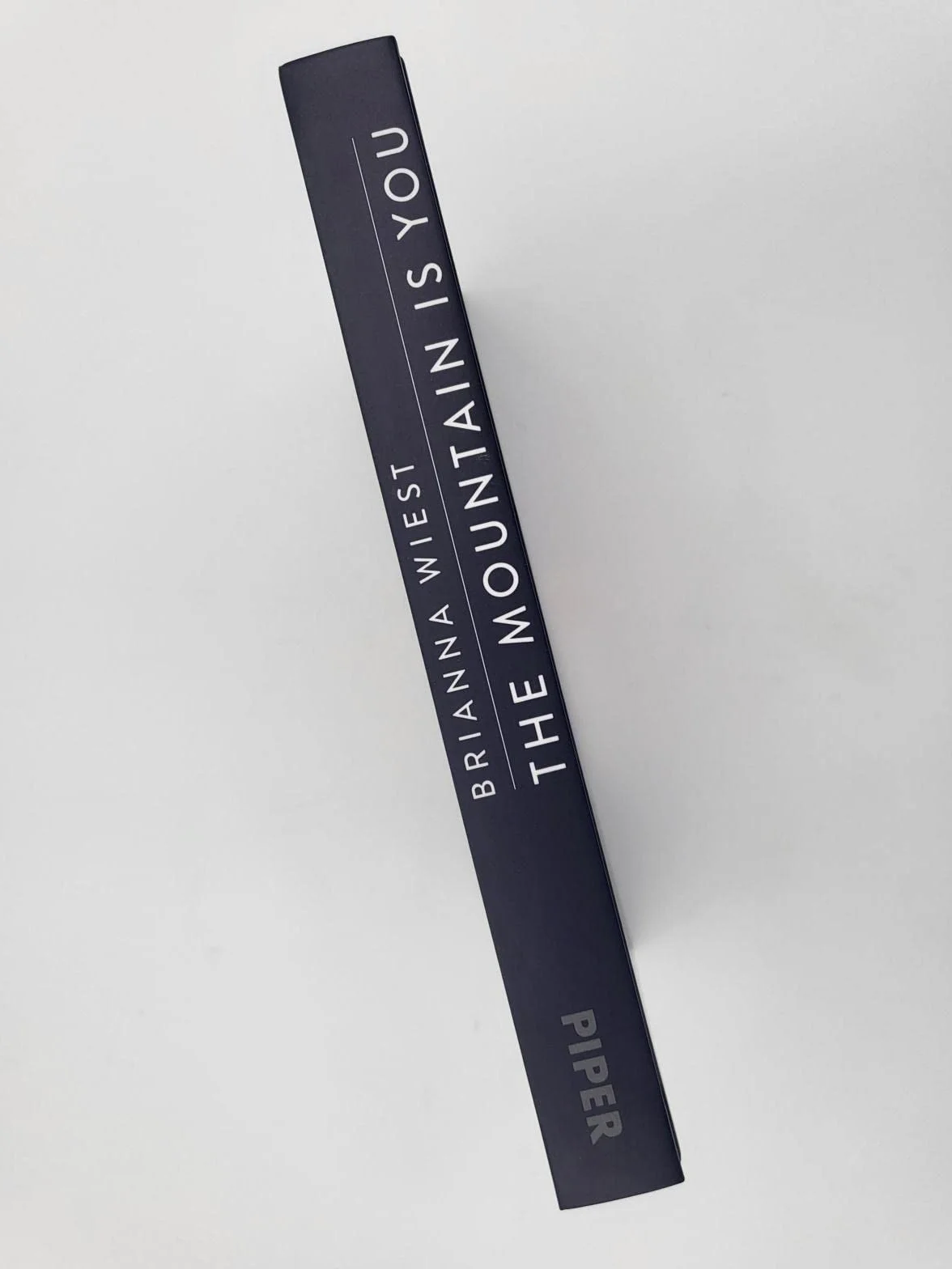 The Mountain Is You: Wie du Selbstsabotage erkennen und überwinden kannst¿ | Der Booktok-Bestseller endlich auf Deutsch!