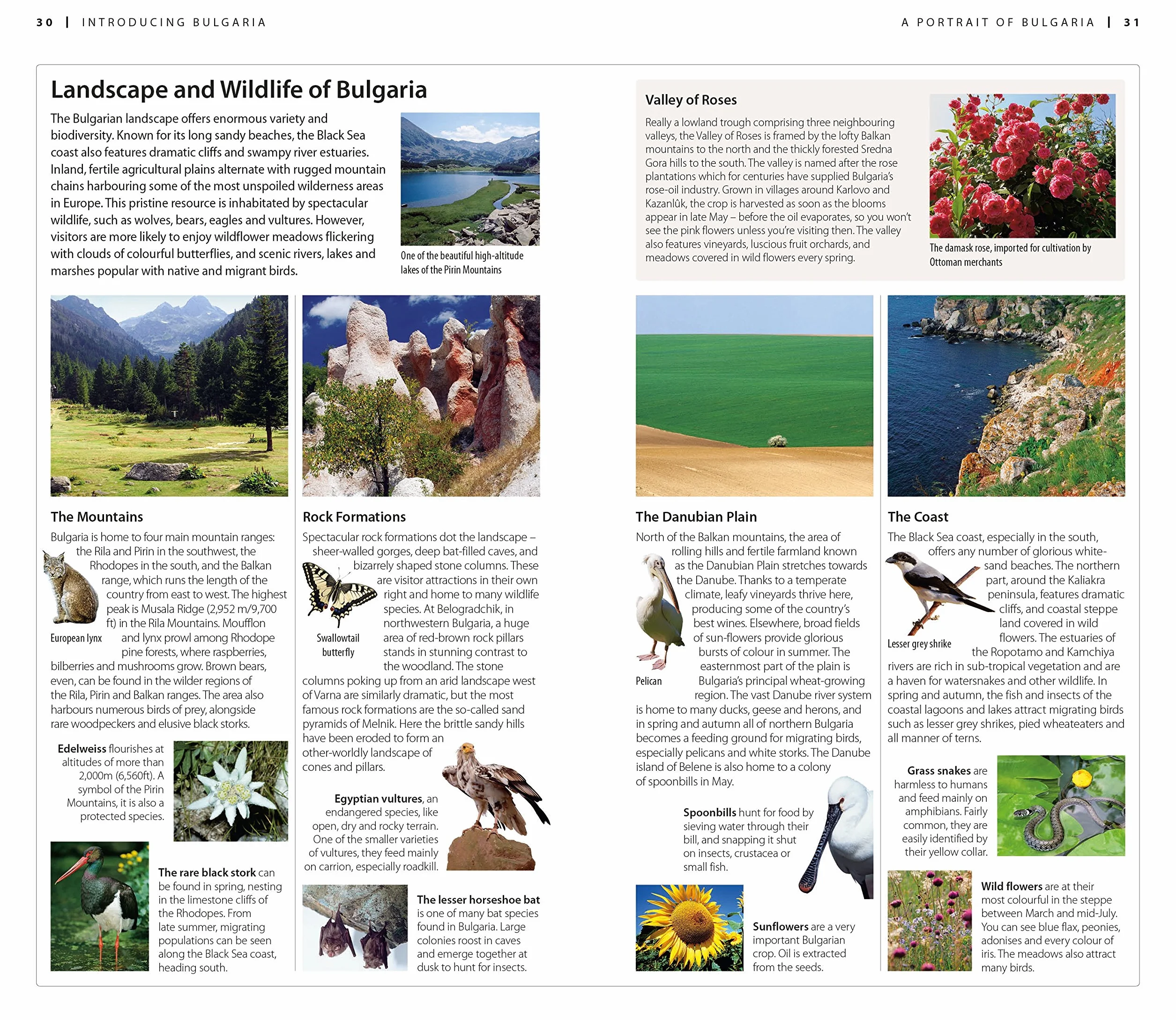 DK Eyewitness Travel Guide Bulgaria: Eyewitness Travel Guide 2017