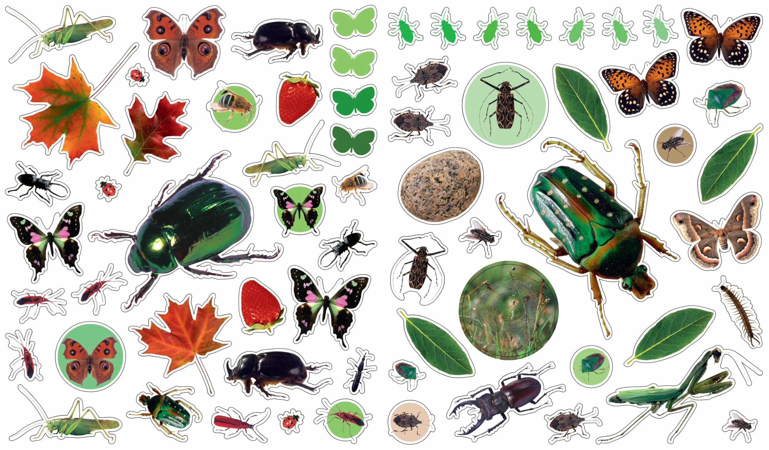 Bugs (Eye Like Stickers)
