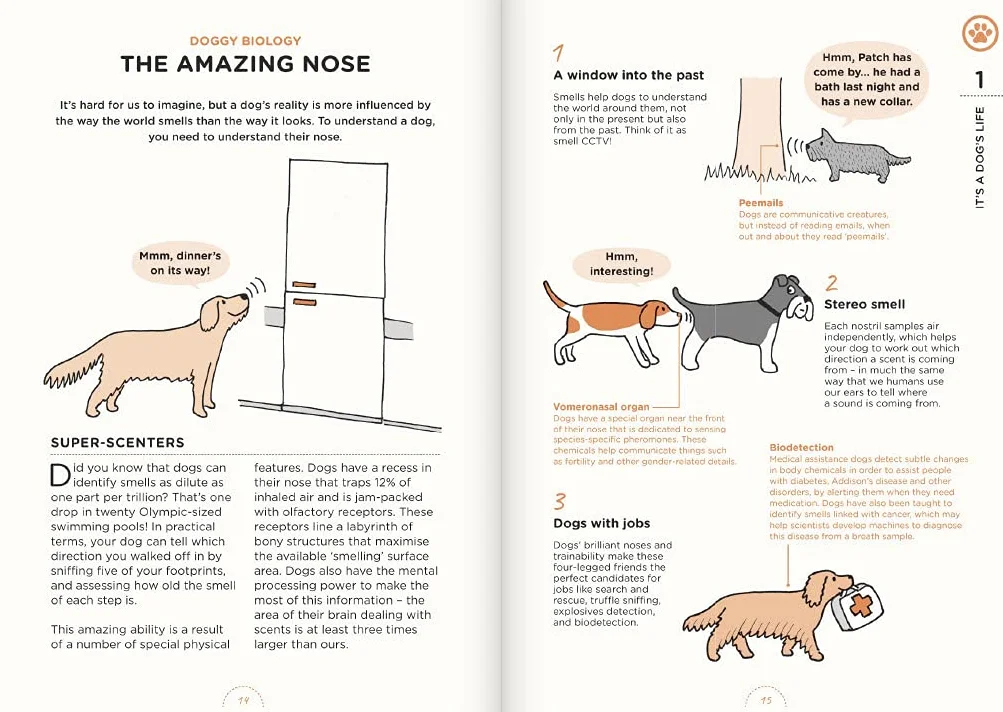 What Dogs Want: An illustrated guide for HAPPY dog care and training