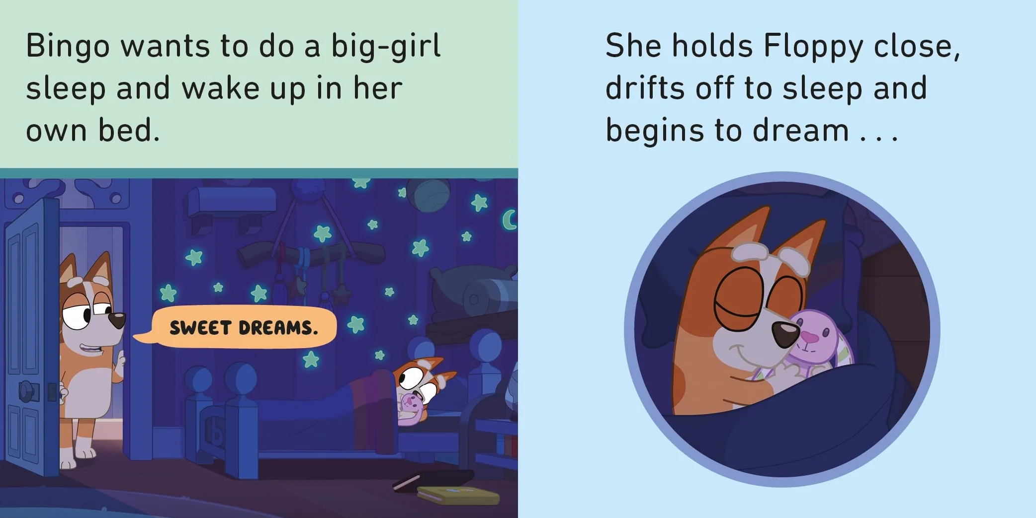 Bluey: Bedtime Little Library: A board book set for toddlers