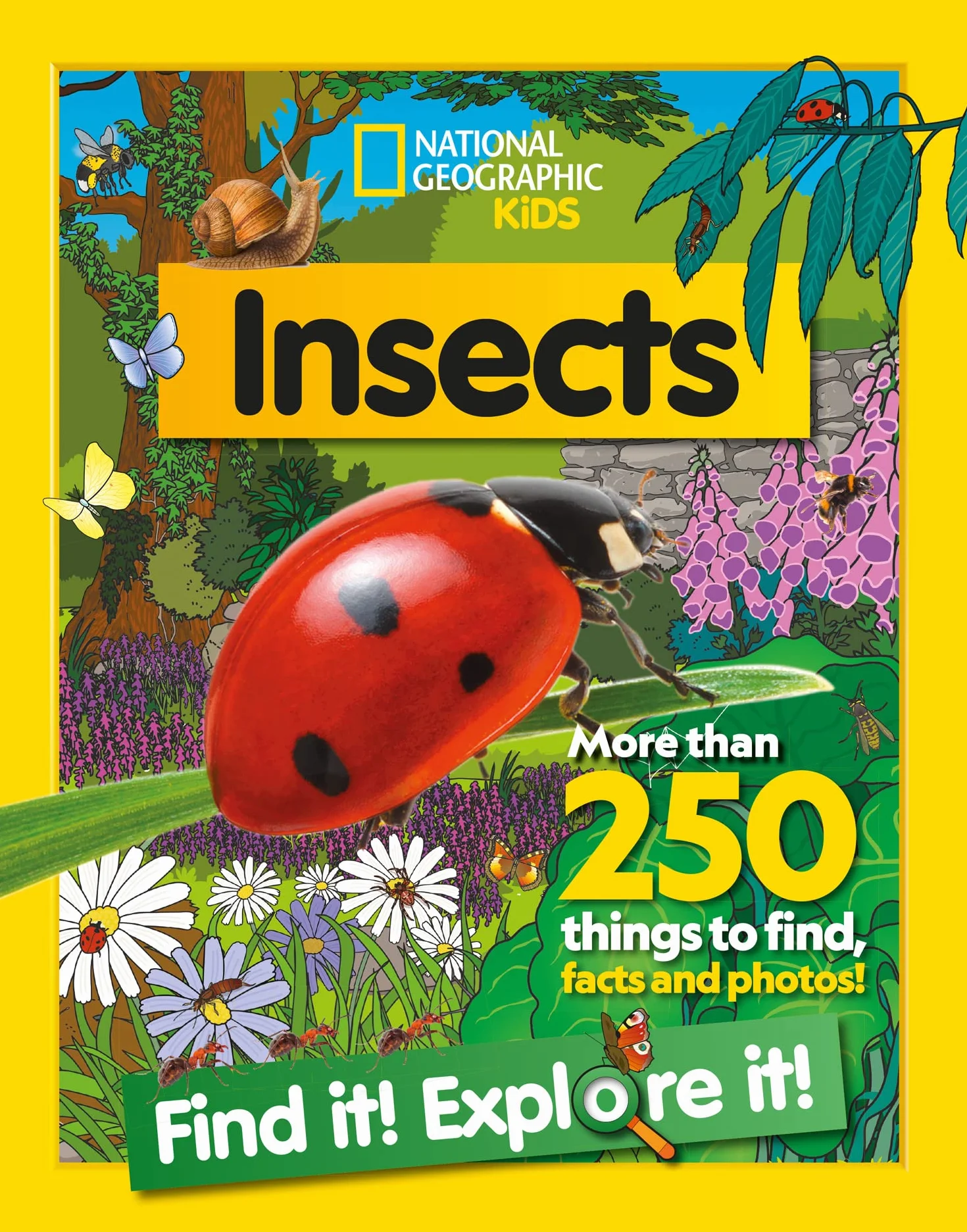 Insects Find it! Explore it!: More than 250 things to find, facts and photos!
