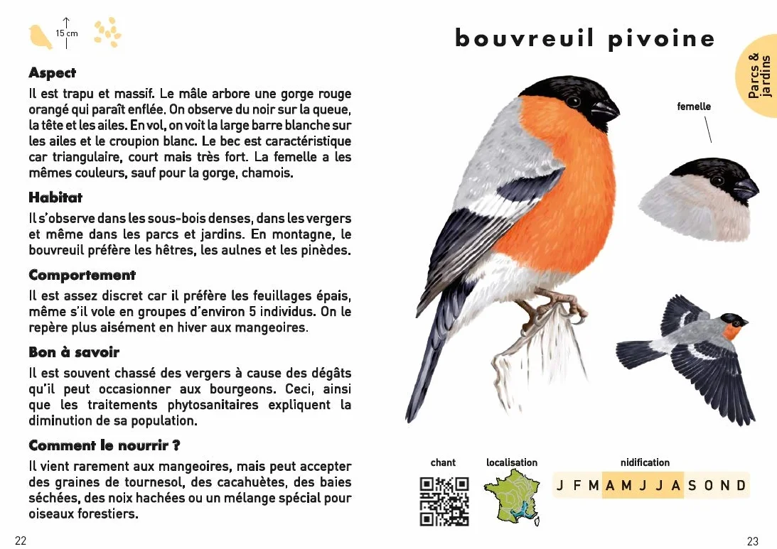 Le Petit Guide pour reconnaître les oiseaux: 70 espèces à découvrir