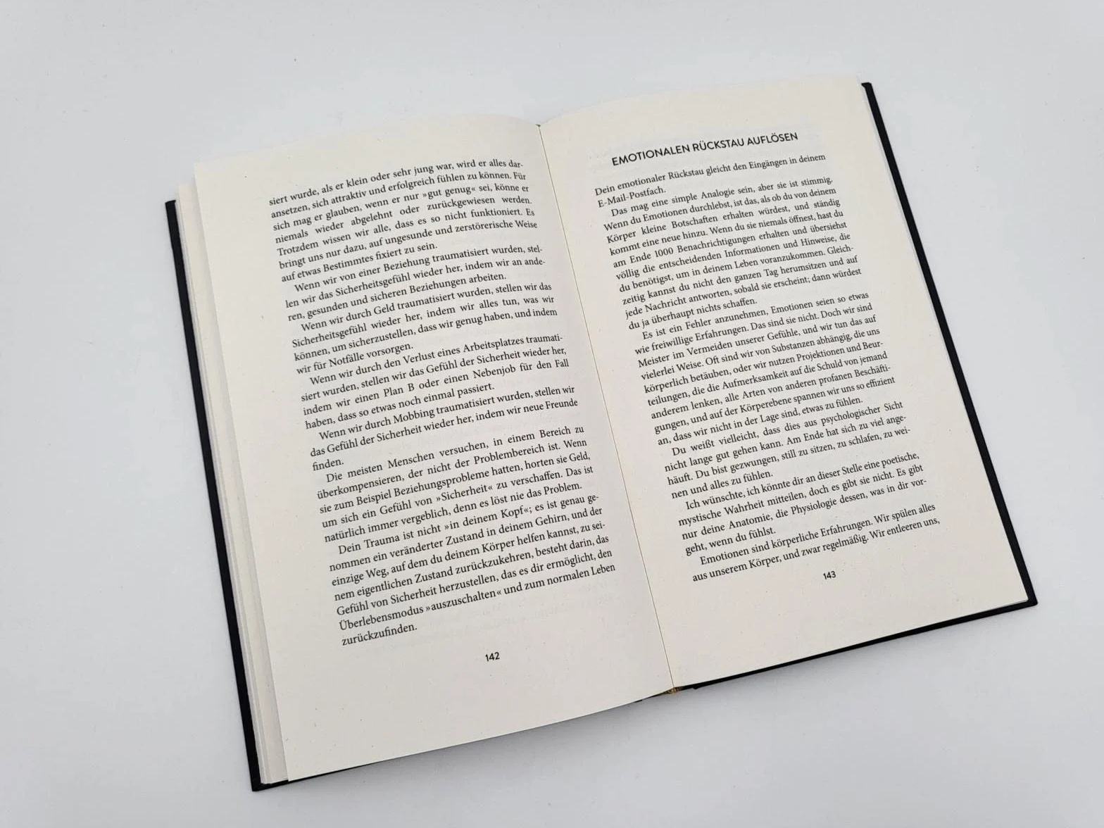 The Mountain Is You: Wie du Selbstsabotage erkennen und überwinden kannst¿ | Der Booktok-Bestseller endlich auf Deutsch!