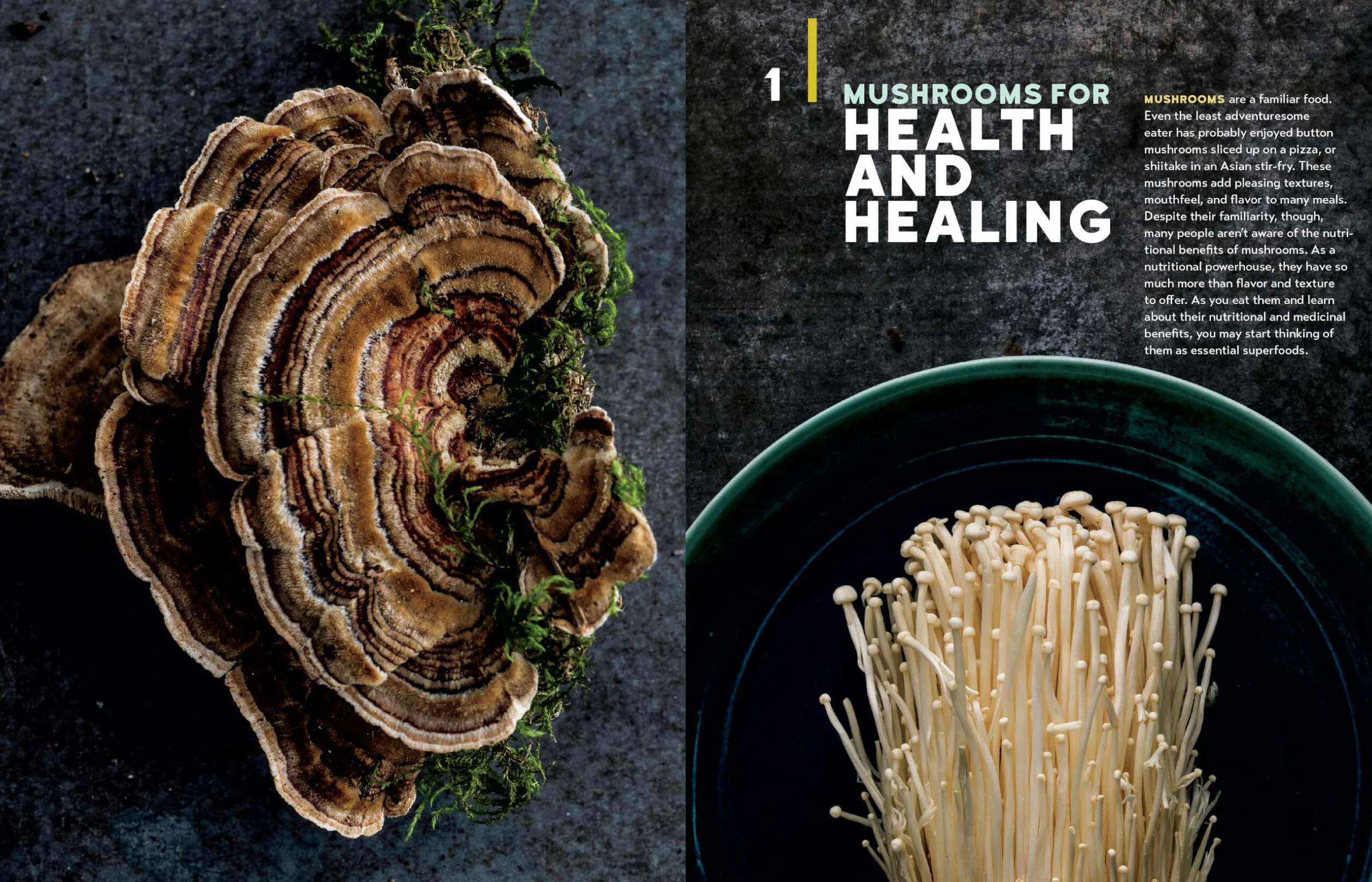 Christopher Hobbs's Medicinal Mushrooms: The Essential Guide: Boost Immunity, Improve Memory, Fight Cancer, Stop Infection, and Expand Your Consciousness