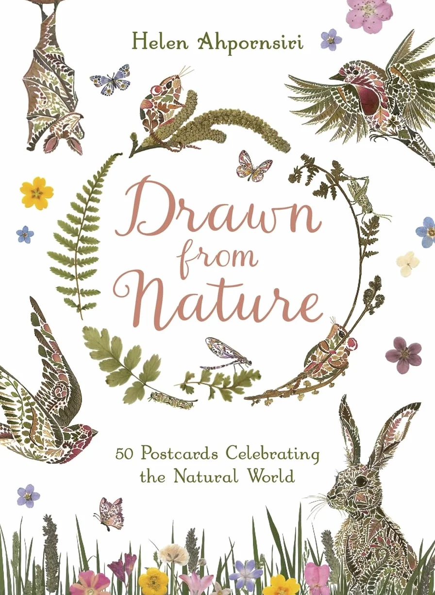 Drawn From Nature: 50 Postcards Celebrating the Natural World