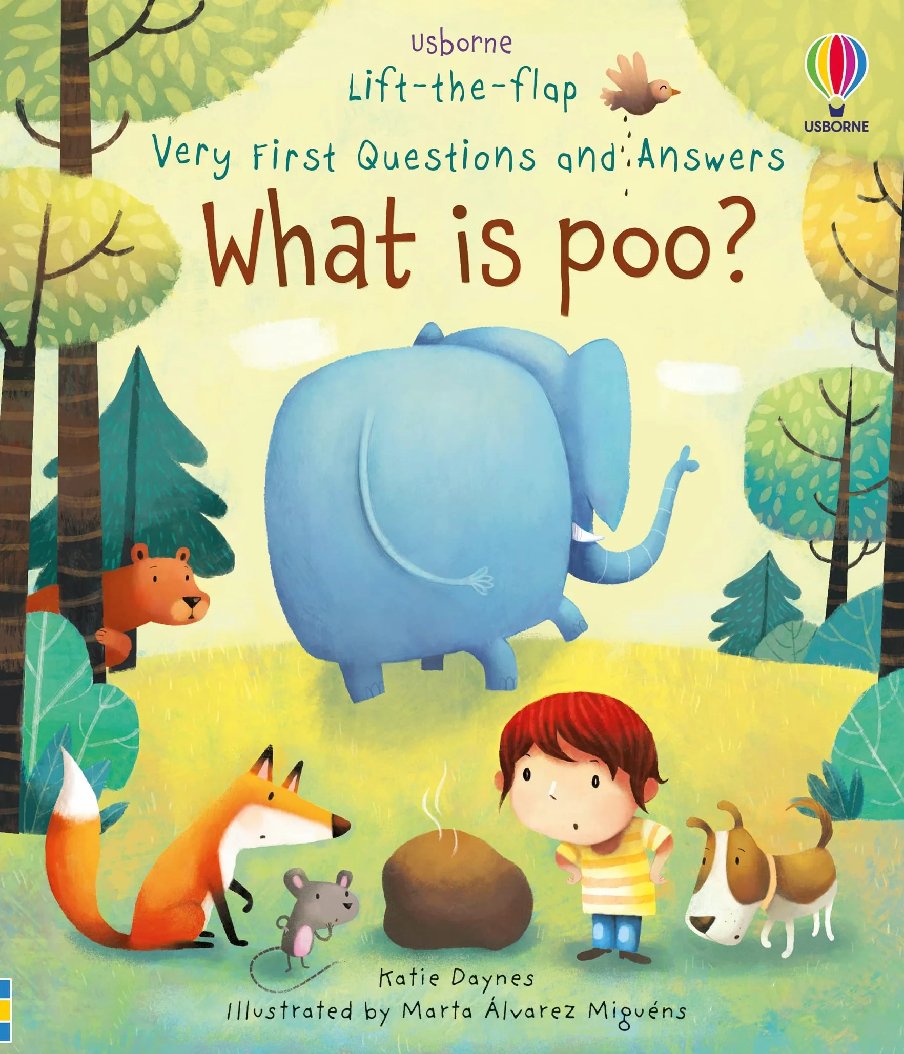 What is Poo? (Very First Lift-the-Flap Questions and Answers) (Very First Lift-the-Flap Questions & Answers): 1 (Very First Questions and Answers)