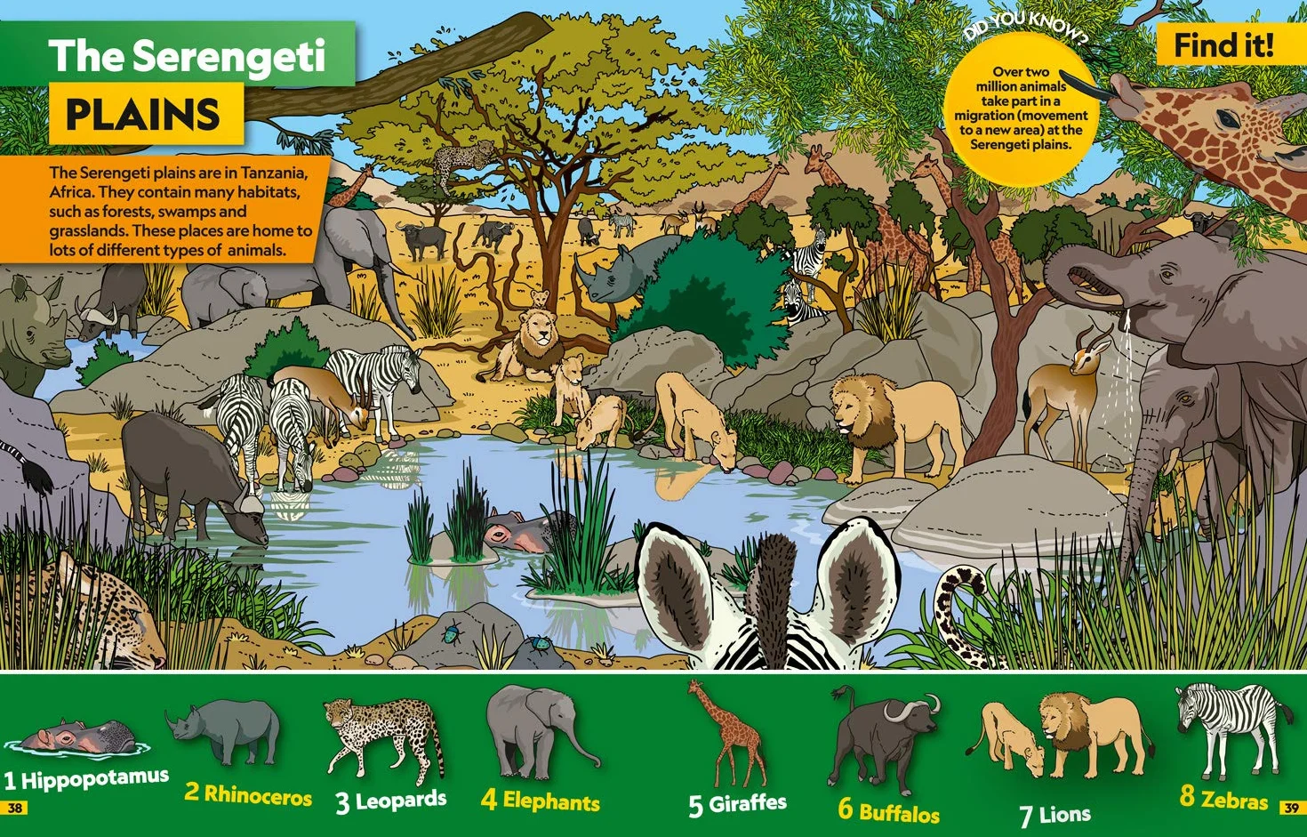 Animals Find it! Explore it!: More than 250 things to find, facts and photos!