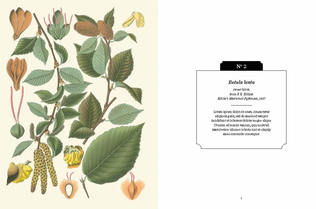 Kew Pocketbooks: Trees
