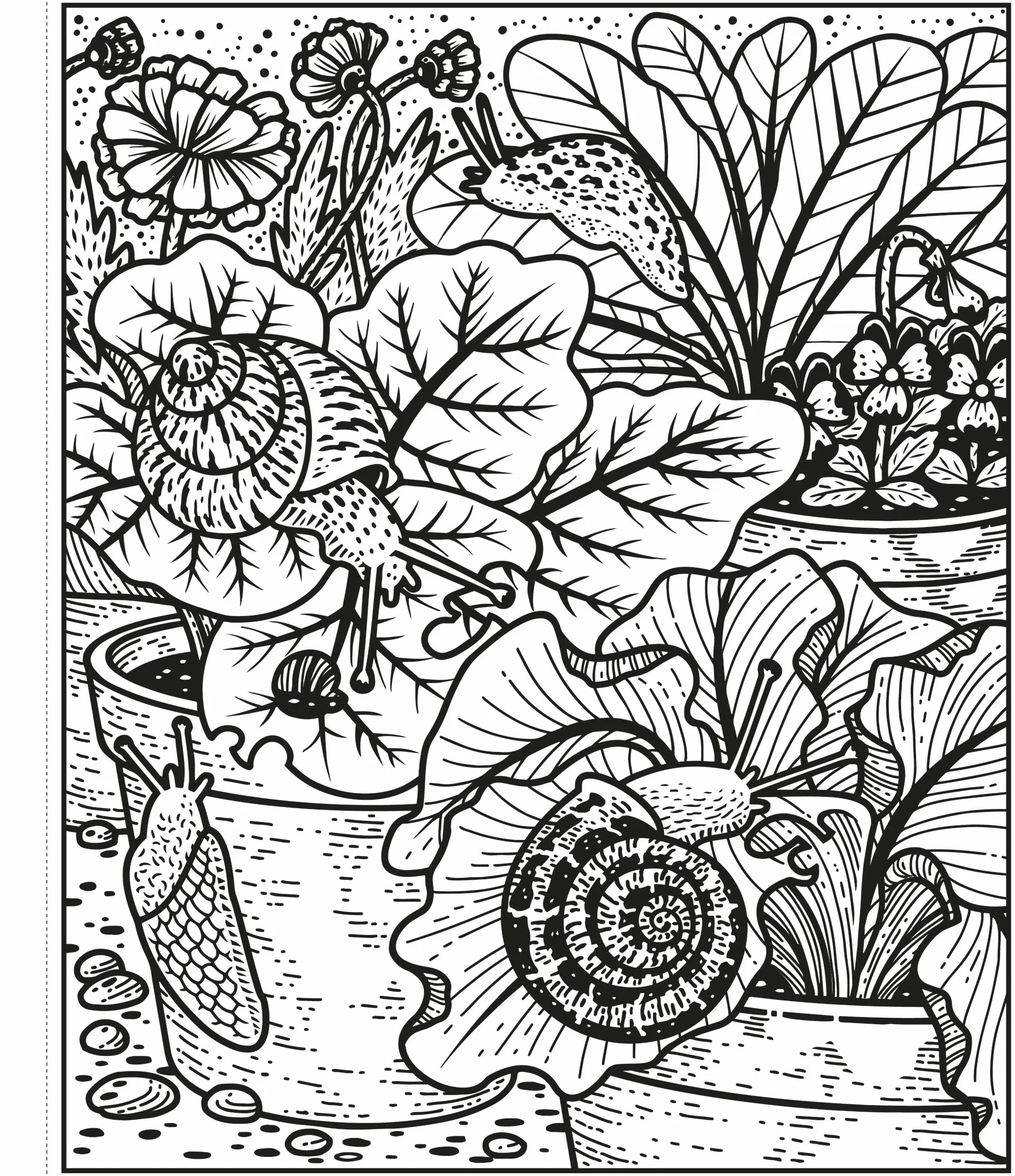 Garden Magic Painting Book (Magic Painting Books)