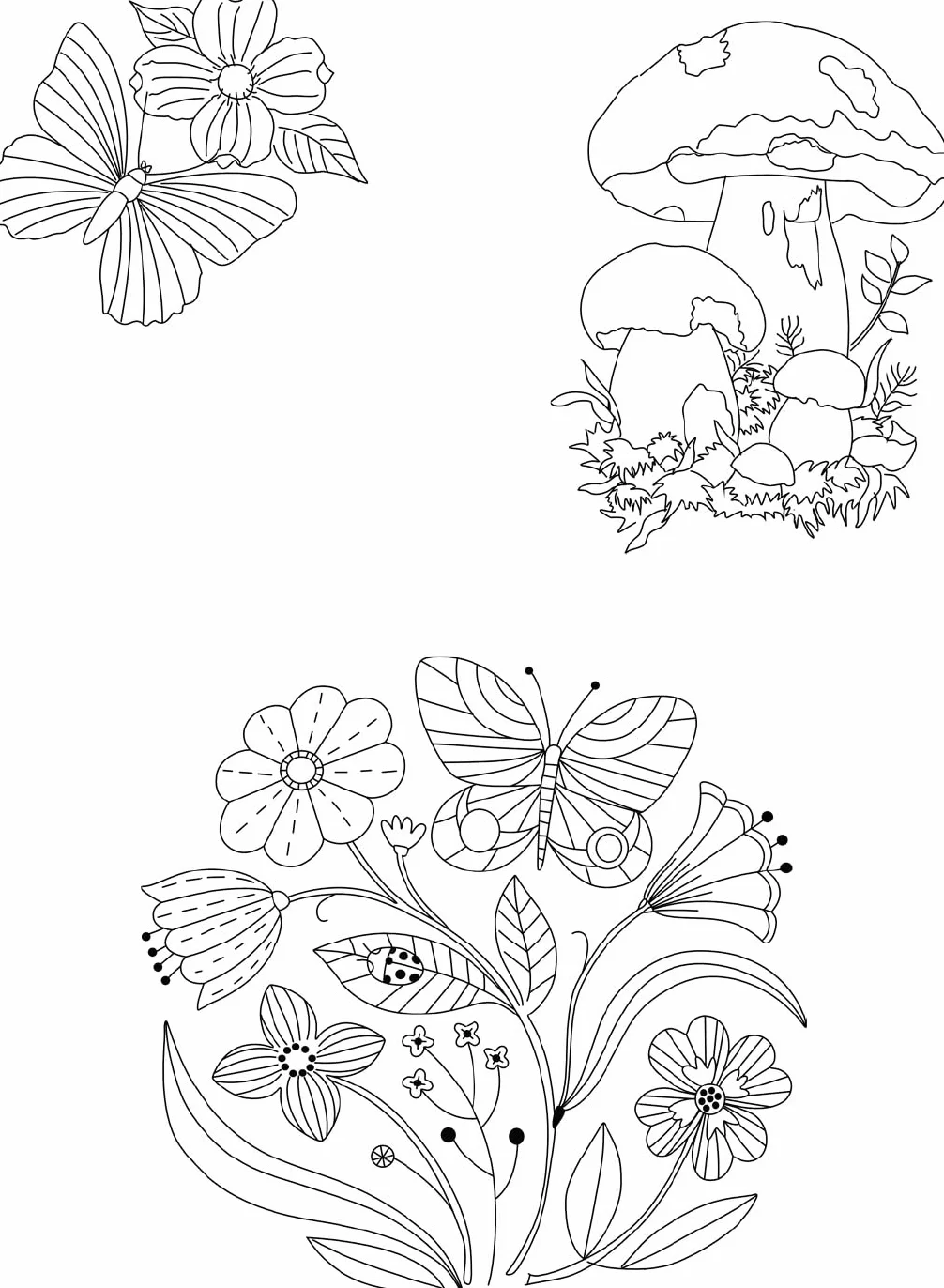 Trish Burr's Nature Embroidery Transfers: 75 Iron-On Designs