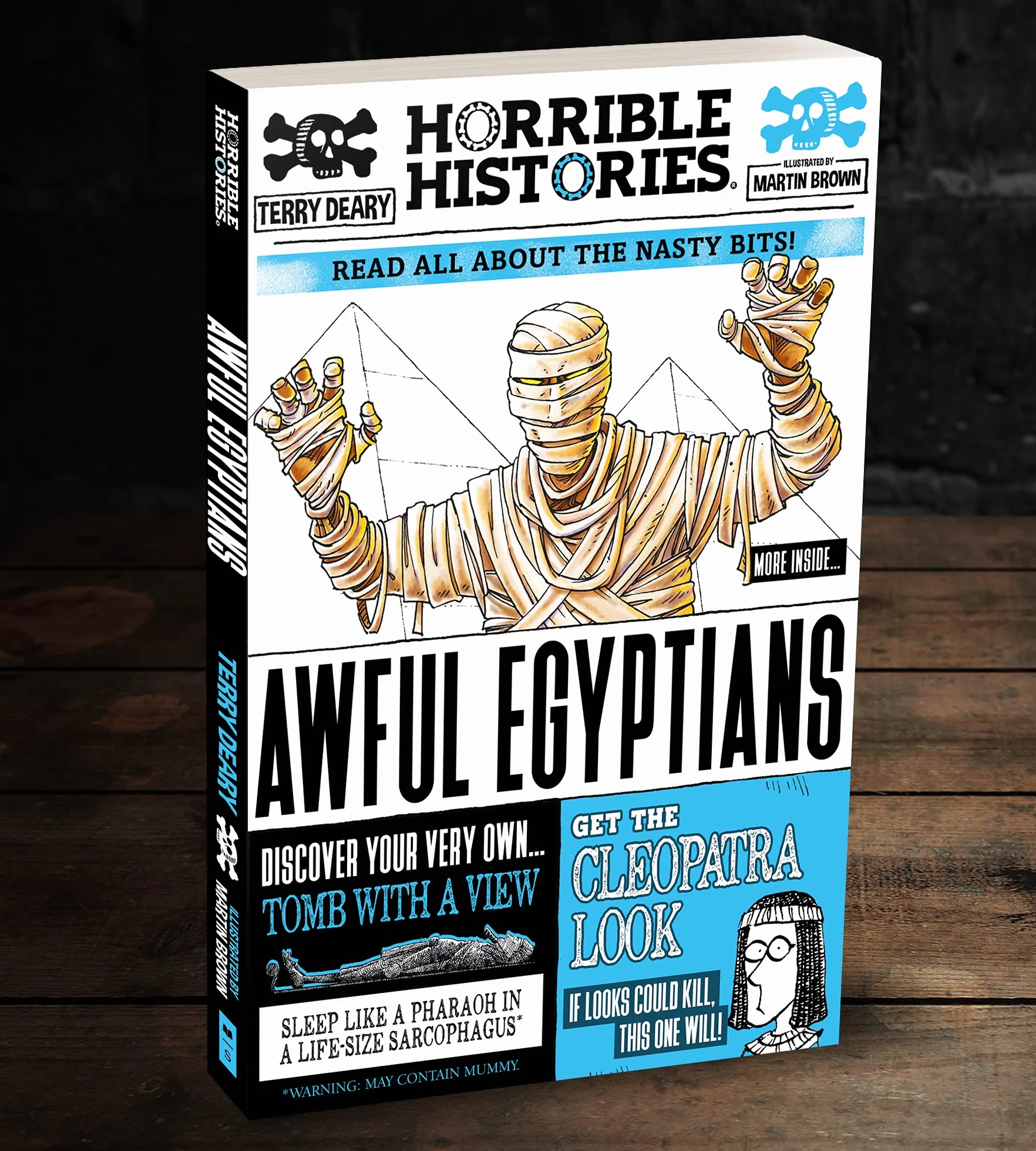 Awful Egyptians: 1 (Horrible Histories)