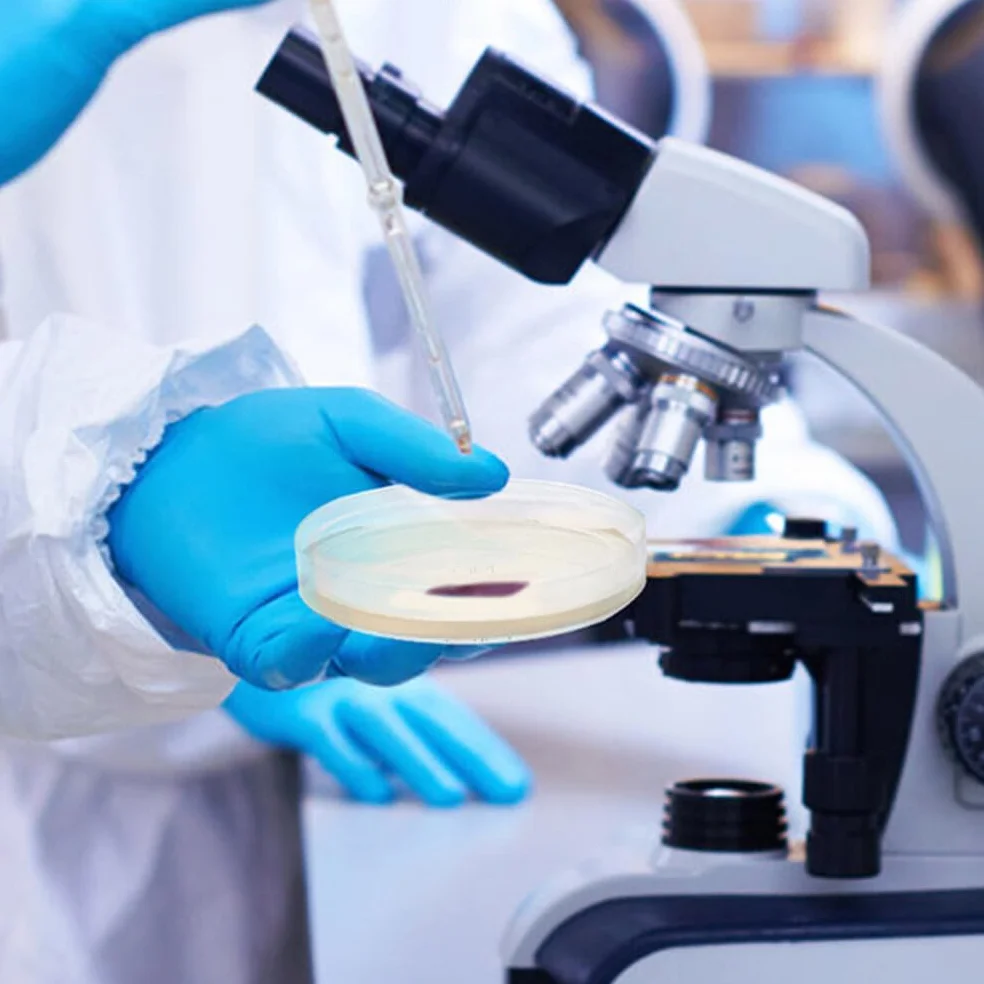 Mobestech Przenośne Płytki Agarowe Laboratoryjne 20 Szt Płytki Agarowe Do Eksperymentów Naukowych Łatwe W Użyciu Szalki Petriego Z Agarem