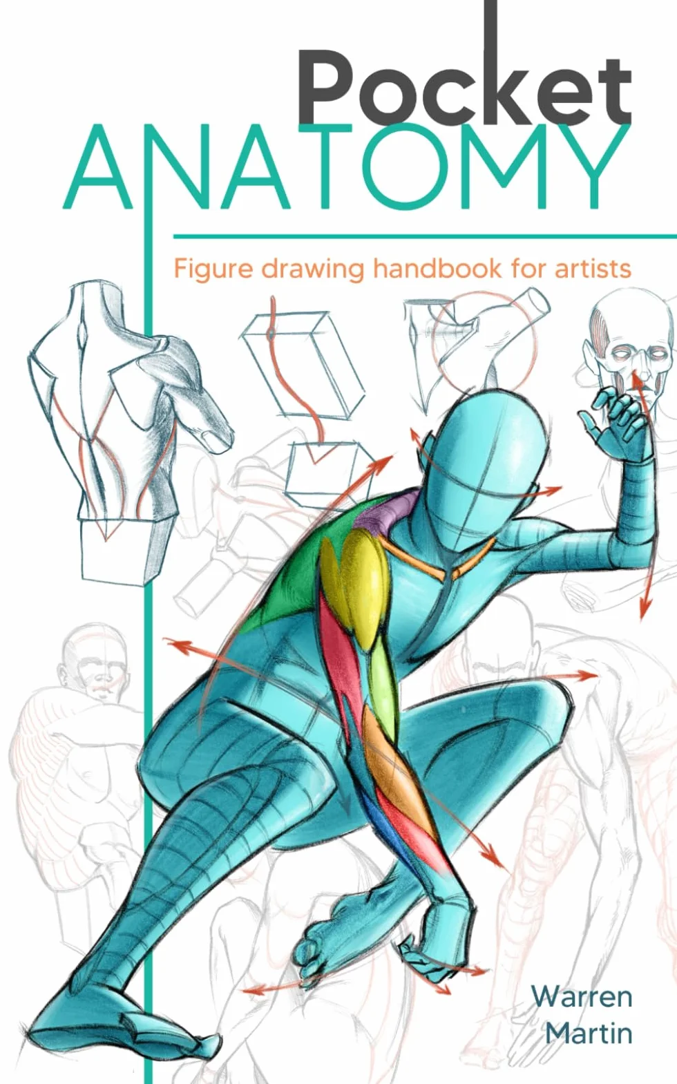 Pocket Anatomy: Figure Drawing Handbook in Color for Artists, Learning How to Draw Human Body by Simplifying the Complex Structures of the Body and Understanding the Human Form