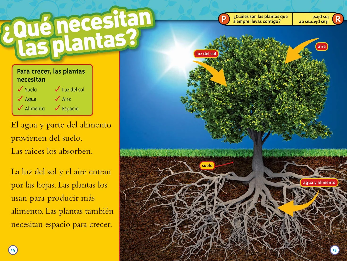 De Semilla a Planta (L1)