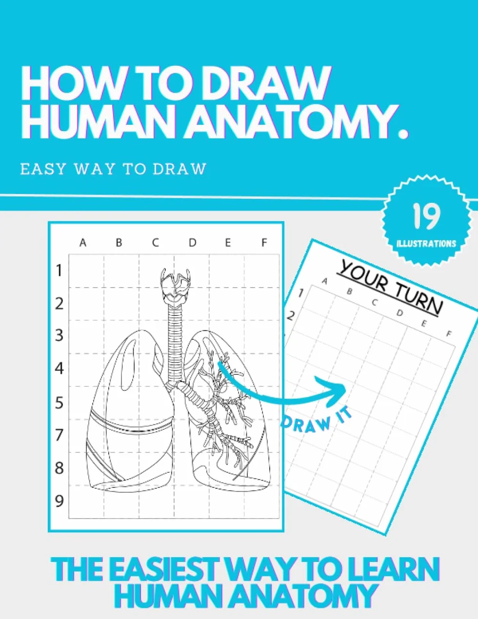 HOW TO DRAW HUMAN ANATOMY: An Easier and Better Way to Learn Anatomy | Realistic Medical Illustrations | The Perfect Gift for Art and Science Enthusiasts!