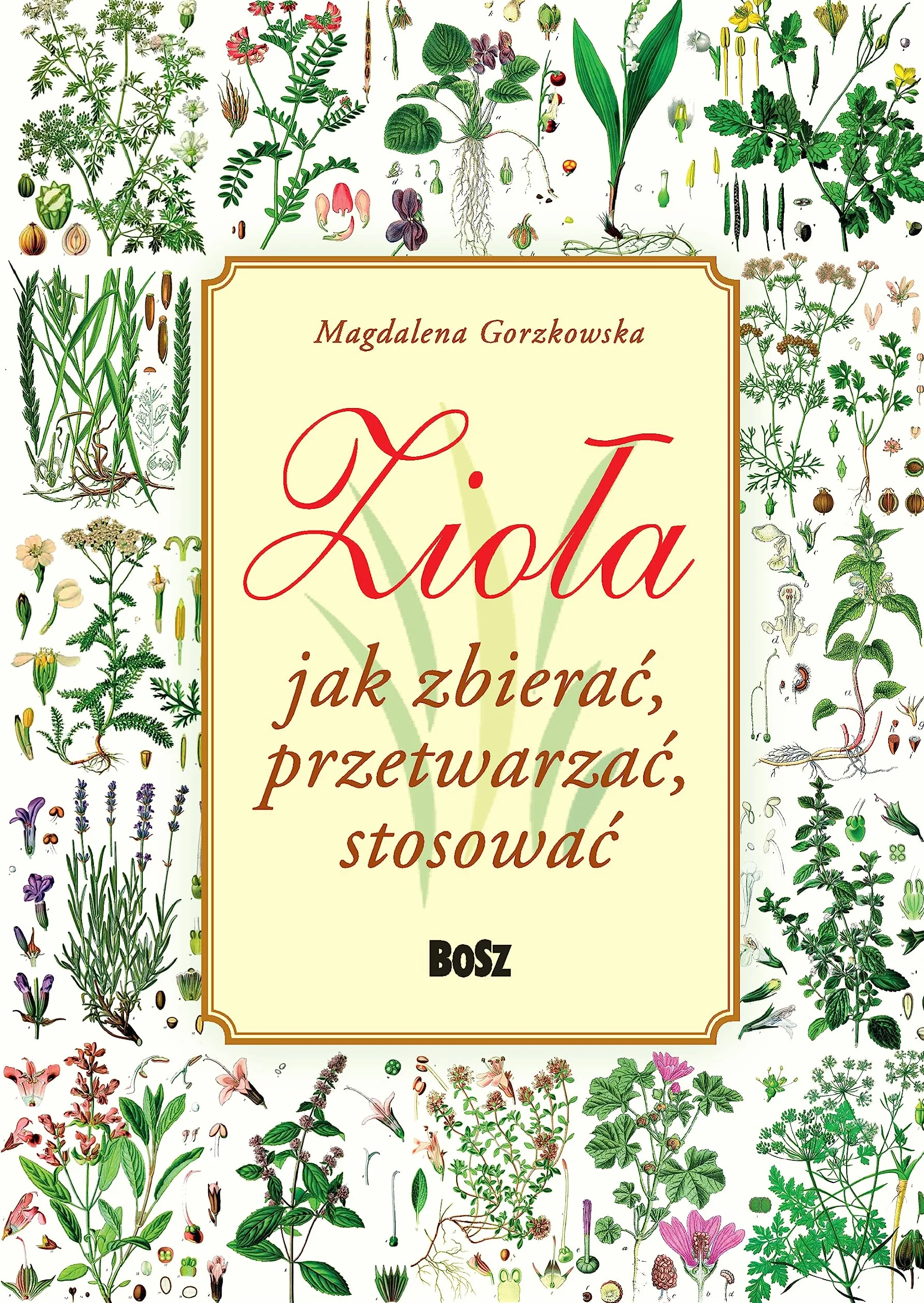 ZIOŁA. JAK ZBIERAĆ, PRZETWARZAĆ, STOSOWAĆ w. 2022