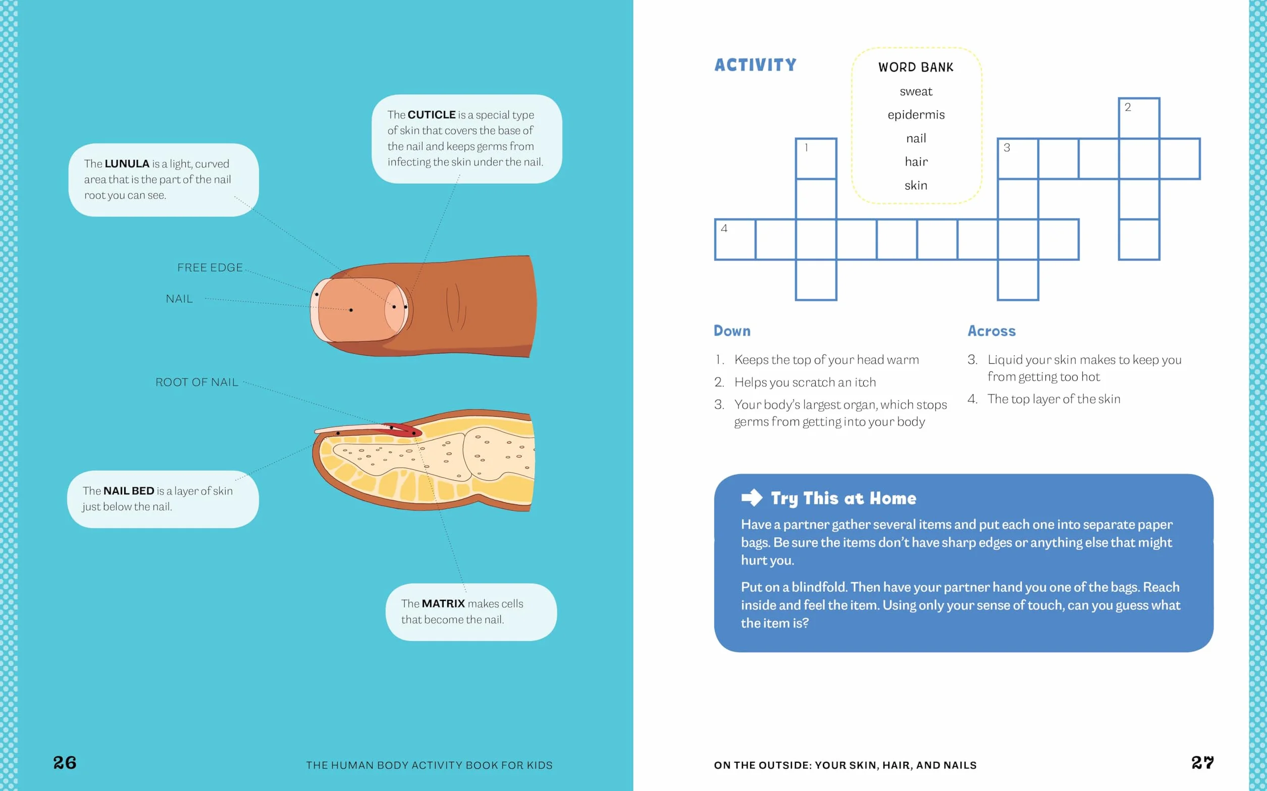 Human Body Activity Book for Kids: Hands-On Fun for Grades K-3