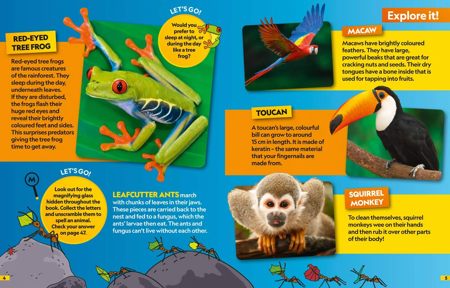 Animals Find it! Explore it!: More than 250 things to find, facts and photos!